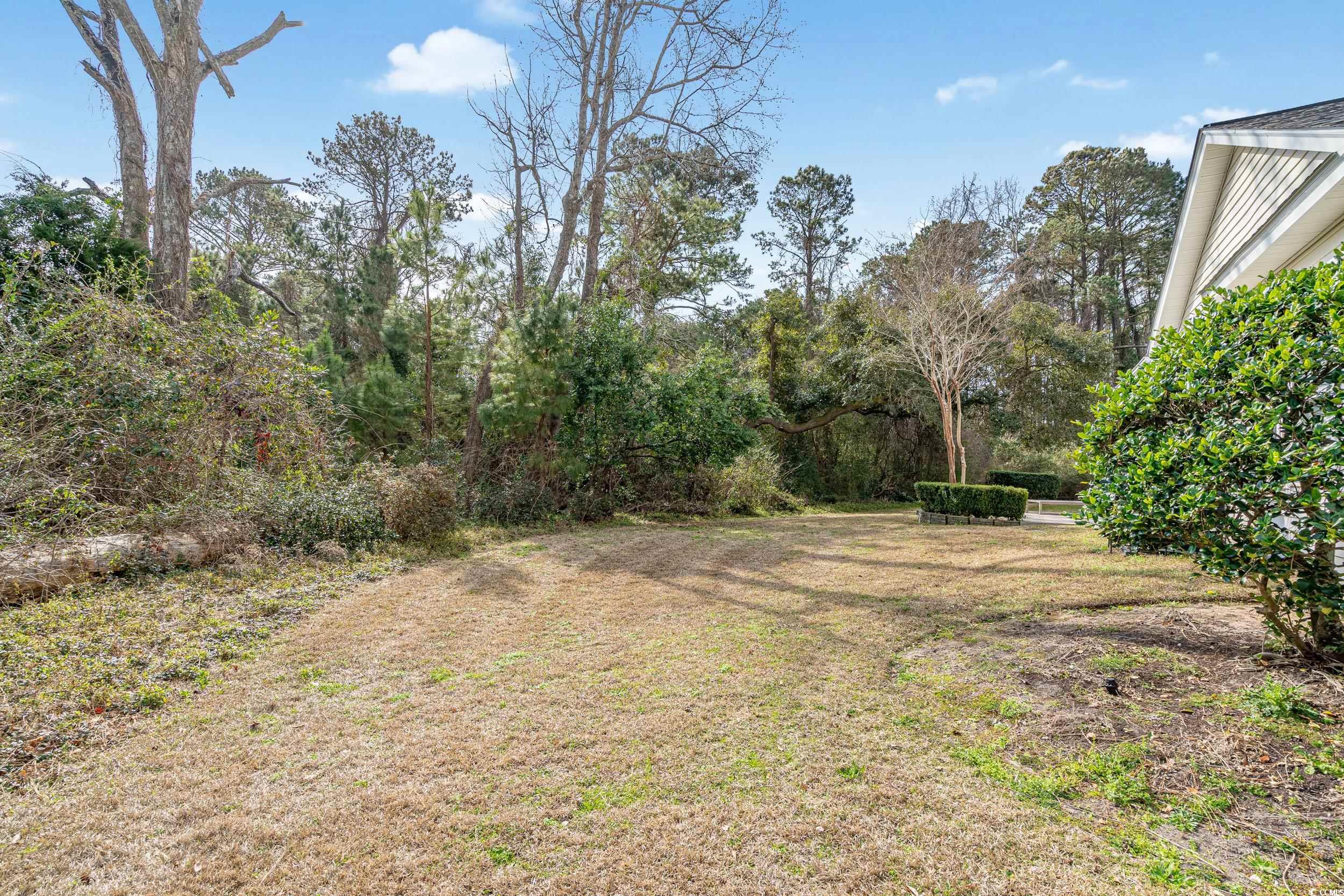 10-1 Rattan Circle #1, Pawleys Island, South Carolina image 22