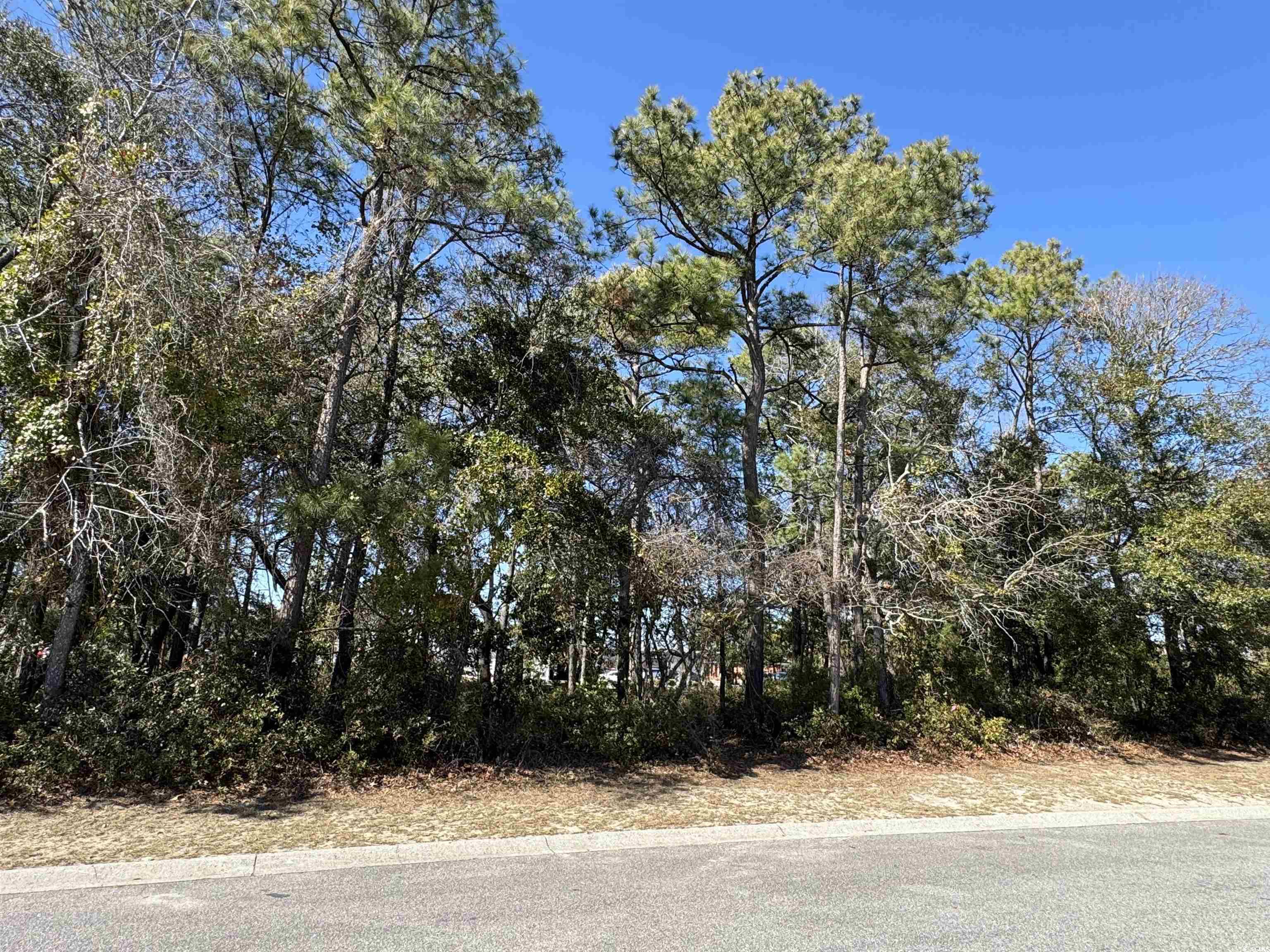 Lot B 1st Ave. S, North Myrtle Beach, South Carolina image 1