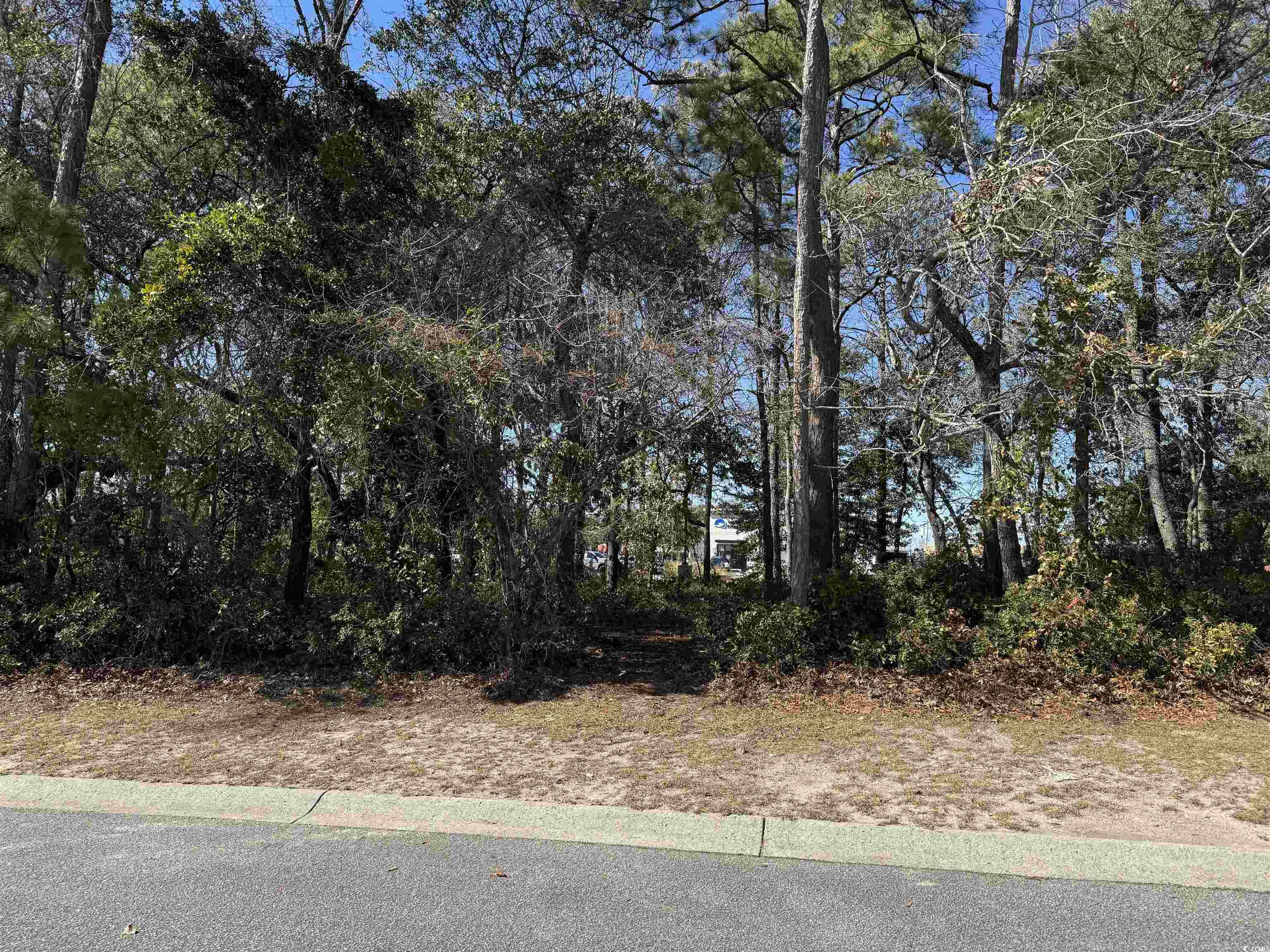 Lot B 1st Ave. S, North Myrtle Beach, South Carolina image 13