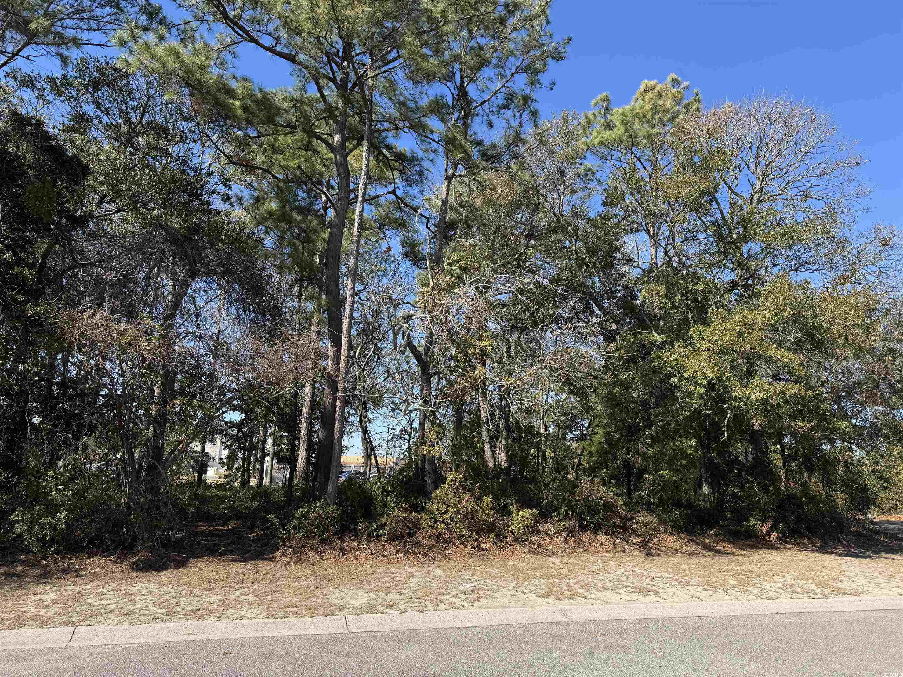 TBD 1st Ave. S North Myrtle Beach, SC 29582