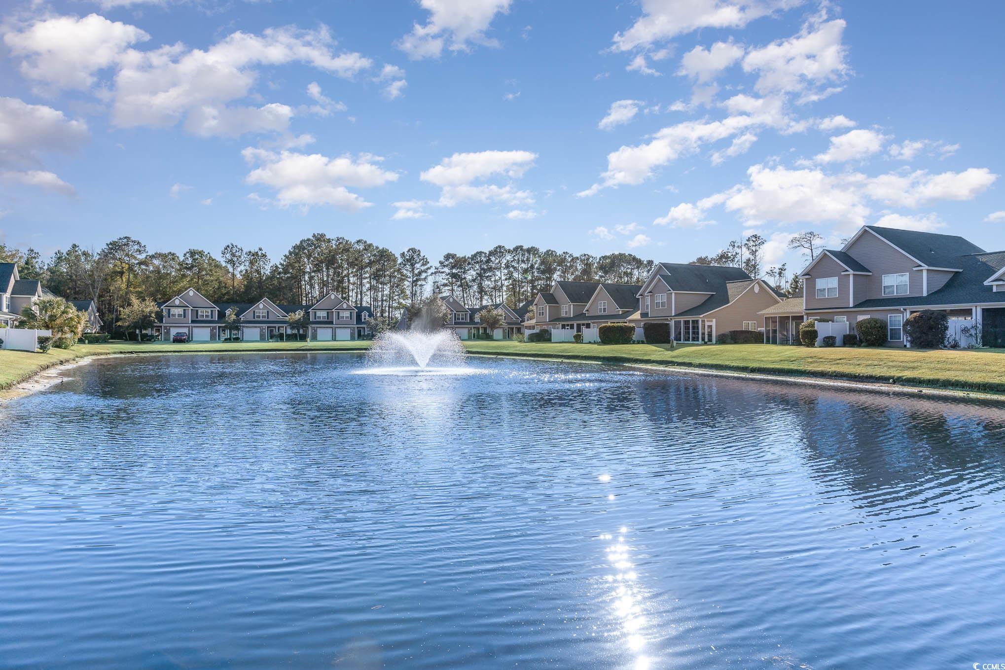 159 Chenoa Dr. #E, Murrells Inlet, South Carolina image 32