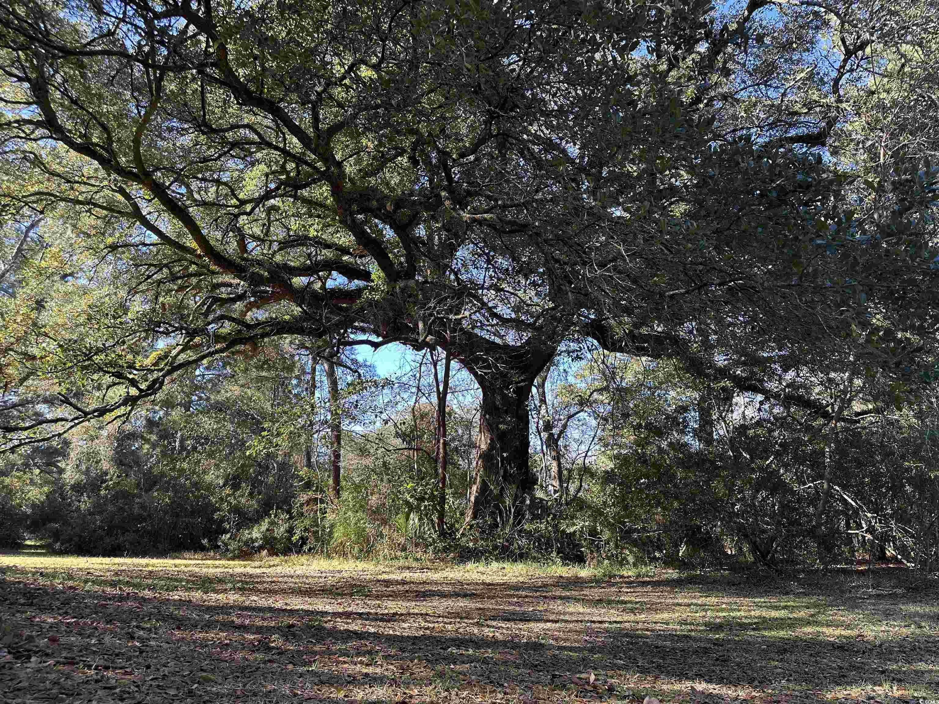 402 Wilkinson St., Georgetown, South Carolina image 10