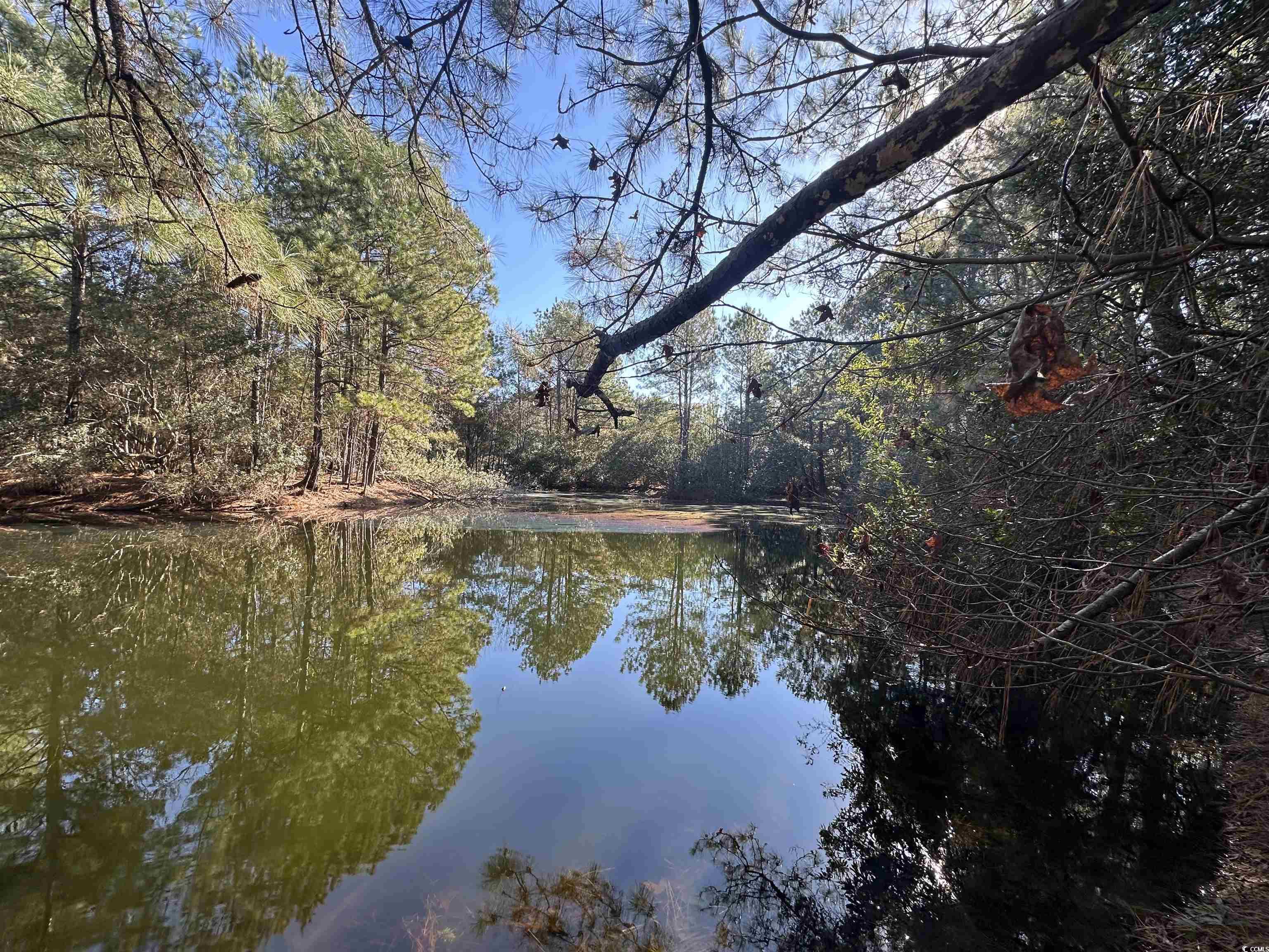 402 Wilkinson St., Georgetown, South Carolina image 16
