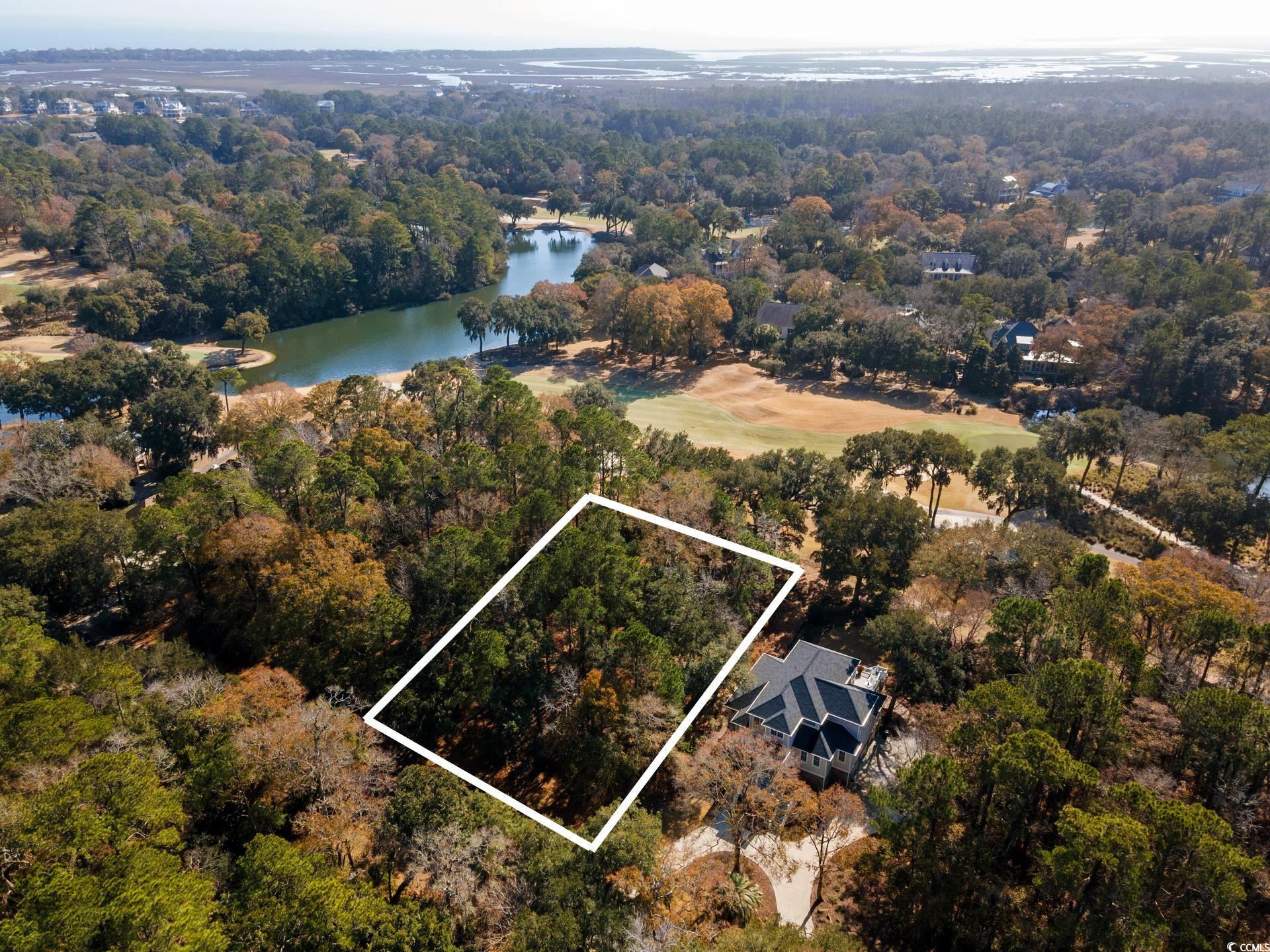 Lot 21 Wallace Pate Dr., Georgetown, South Carolina image 1