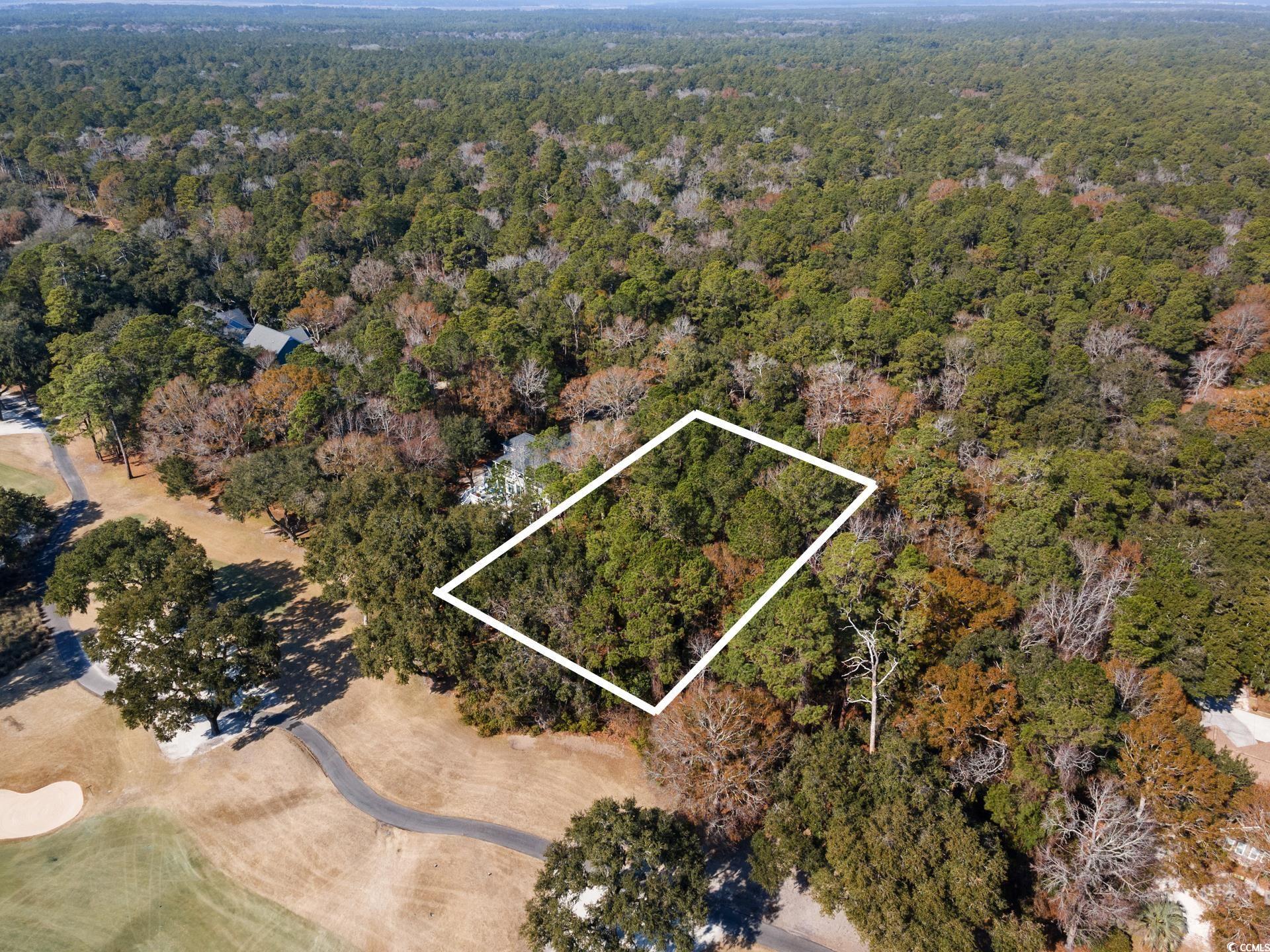 Lot 21 Wallace Pate Dr., Georgetown, South Carolina image 3