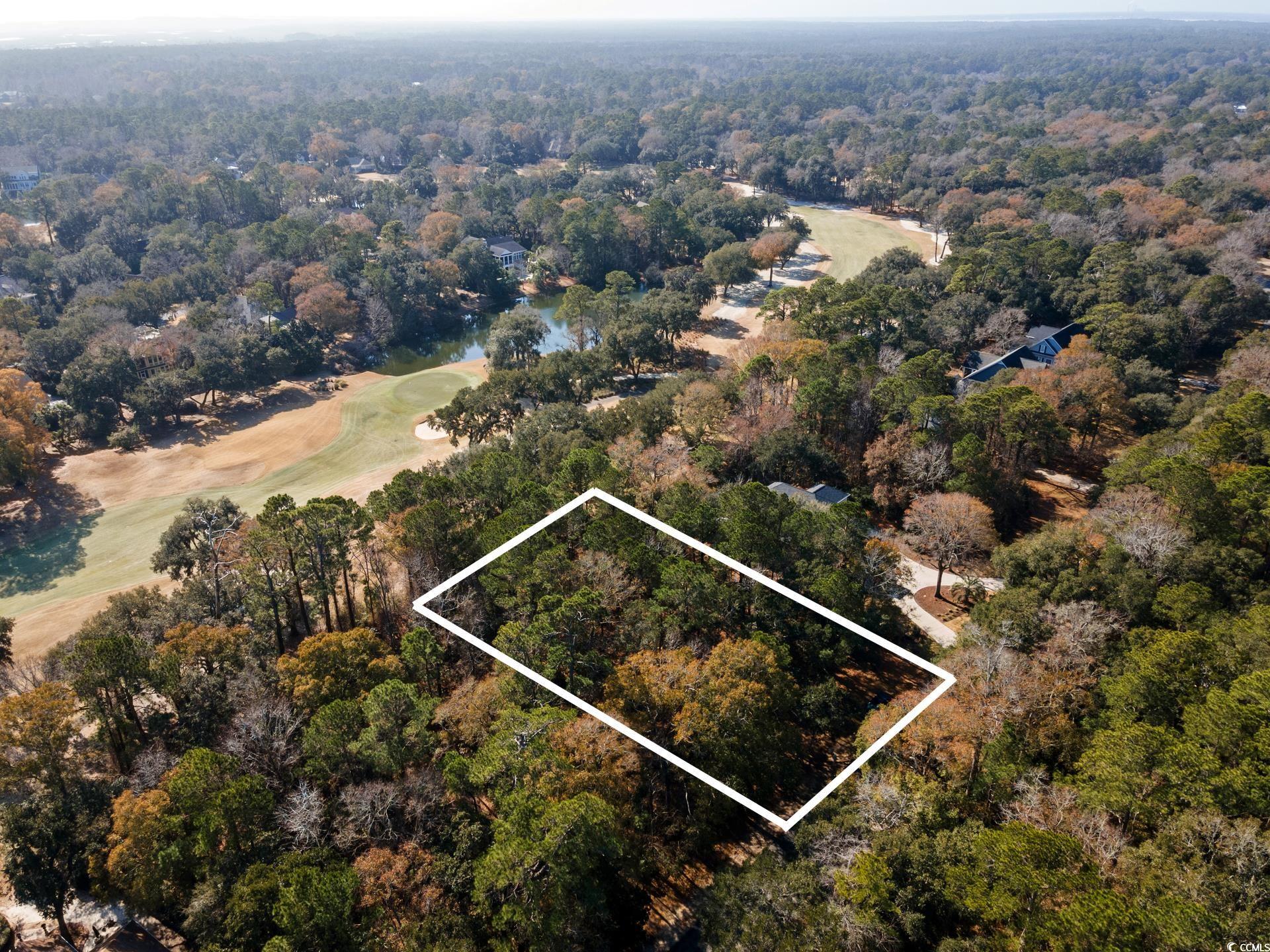 Lot 21 Wallace Pate Dr., Georgetown, South Carolina image 4