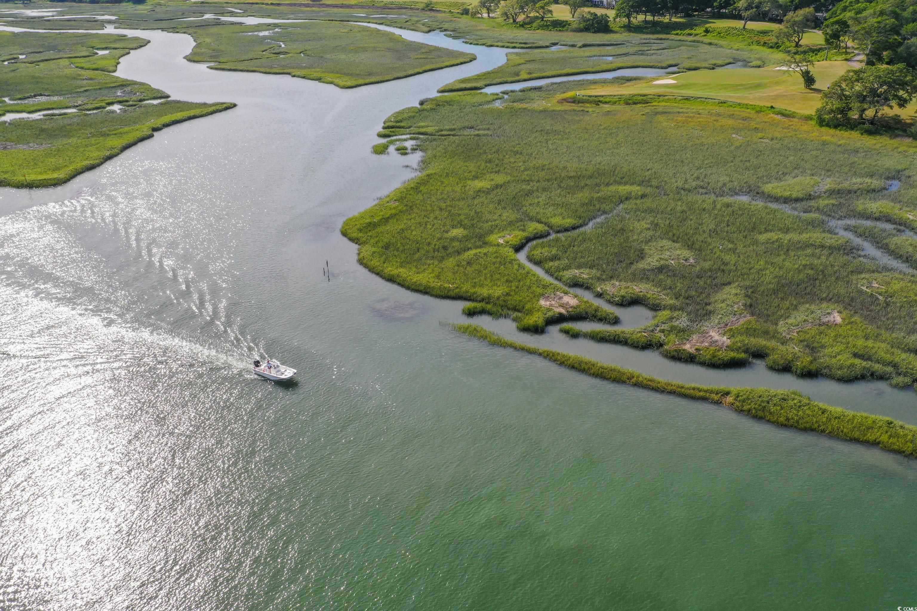 602 Chapman Loop, Pawleys Island, South Carolina image 17