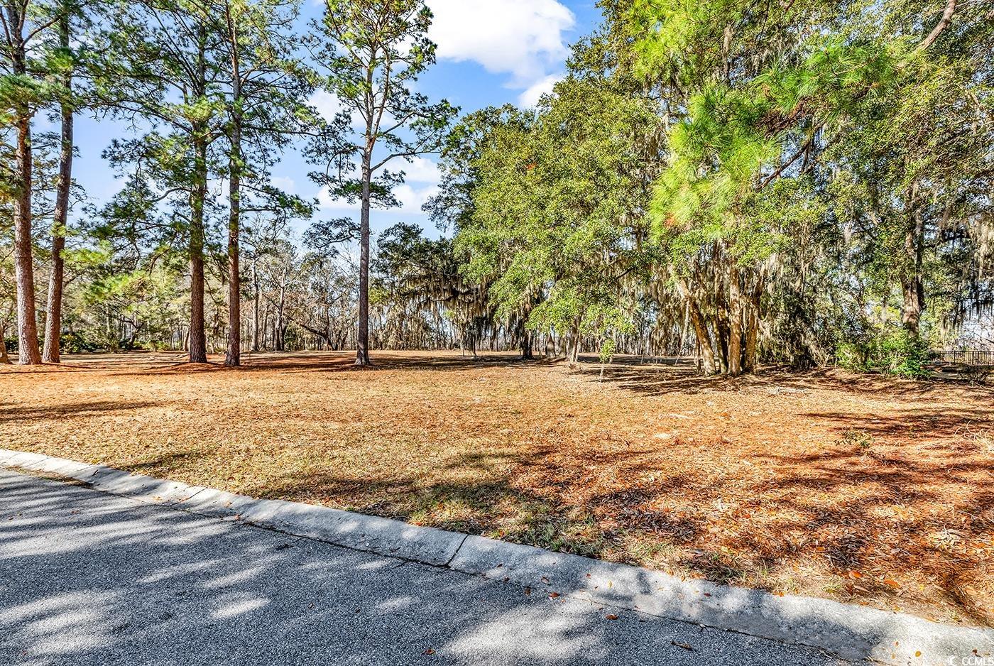 602 Chapman Loop, Pawleys Island, South Carolina image 6