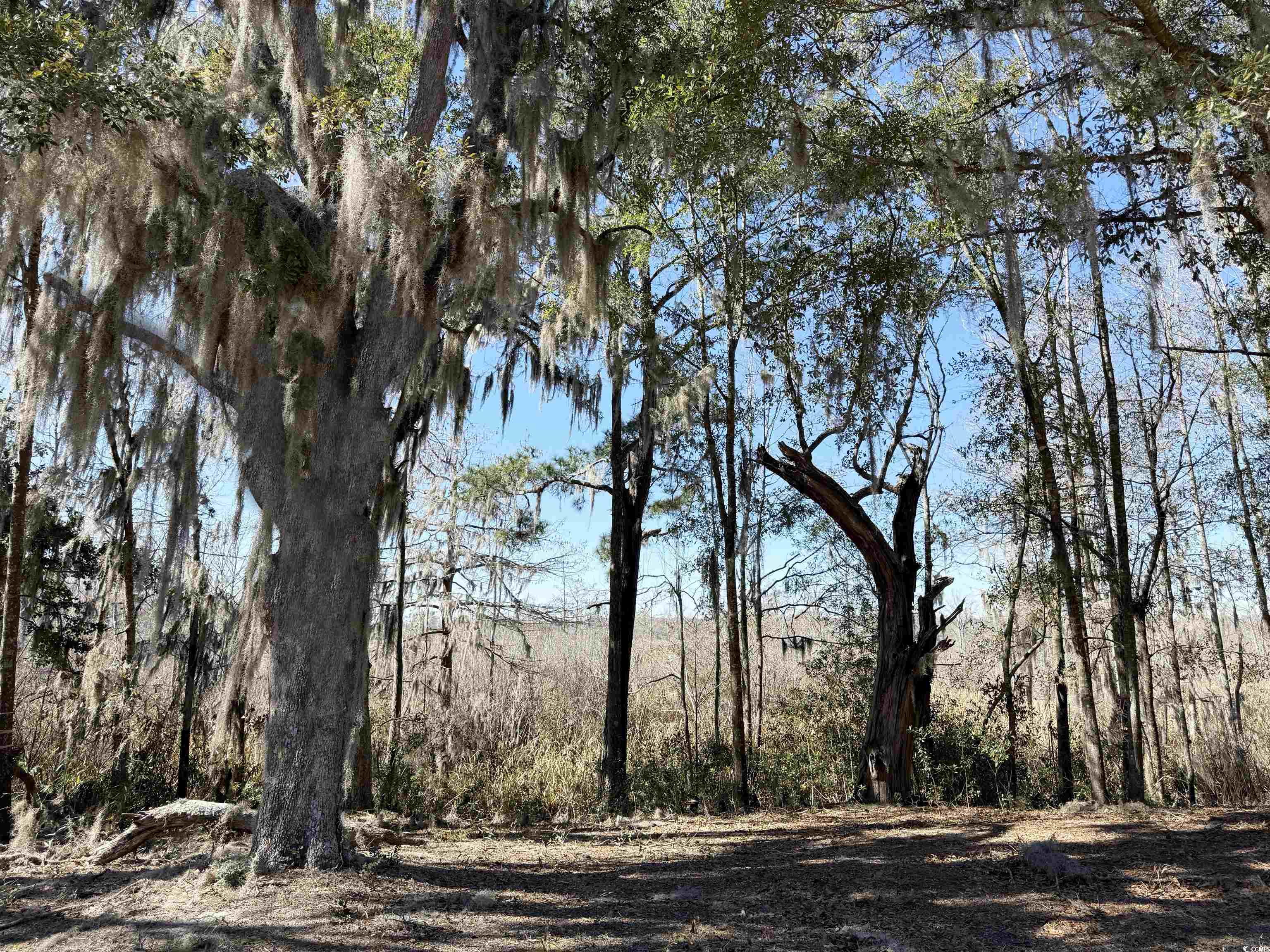 602 Chapman Loop, Pawleys Island, South Carolina image 7