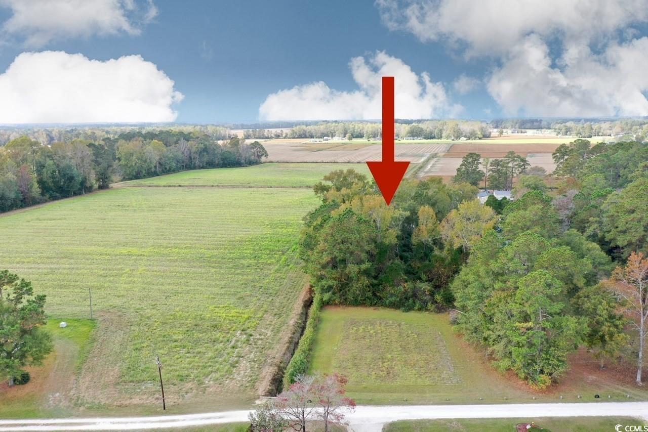 TBD Eden Rd. Tabor City, NC 28463