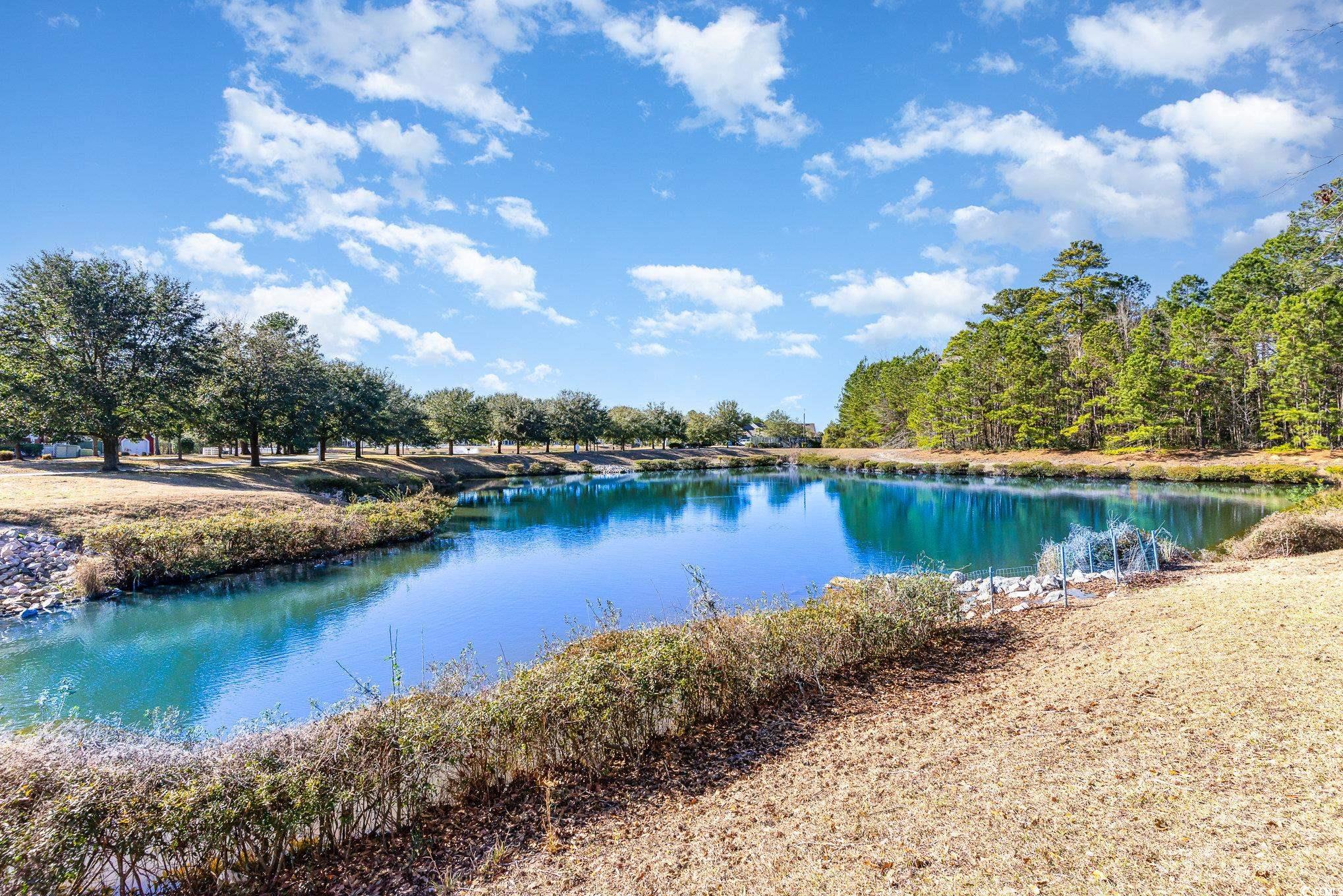 1155 Harvester Circle #1155, Myrtle Beach, South Carolina image 35