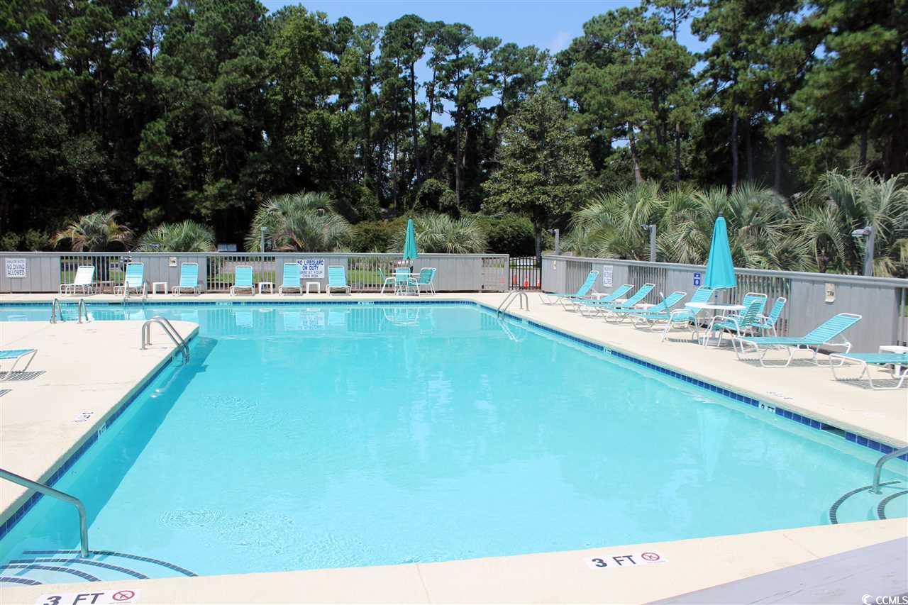 219 Salt Marsh Circle #14A, Pawleys Island, South Carolina image 28
