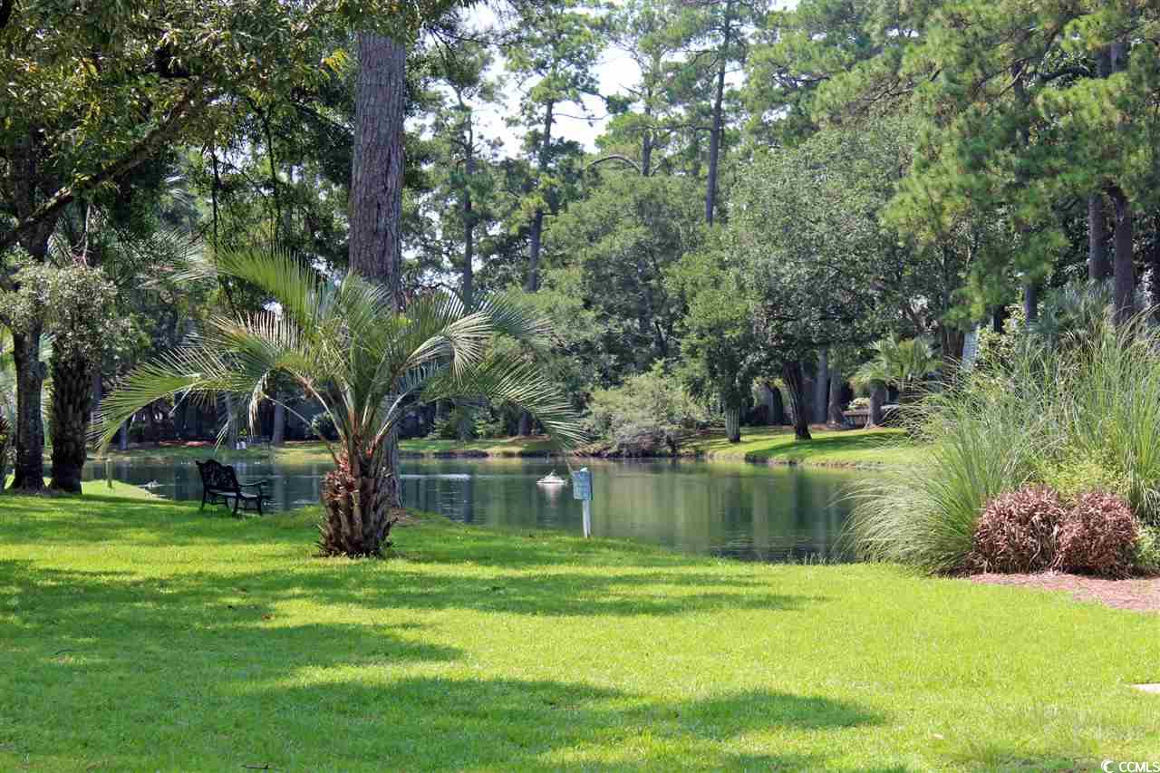 14A Salt Marsh Cove #14A, Pawleys Island, South Carolina image 31