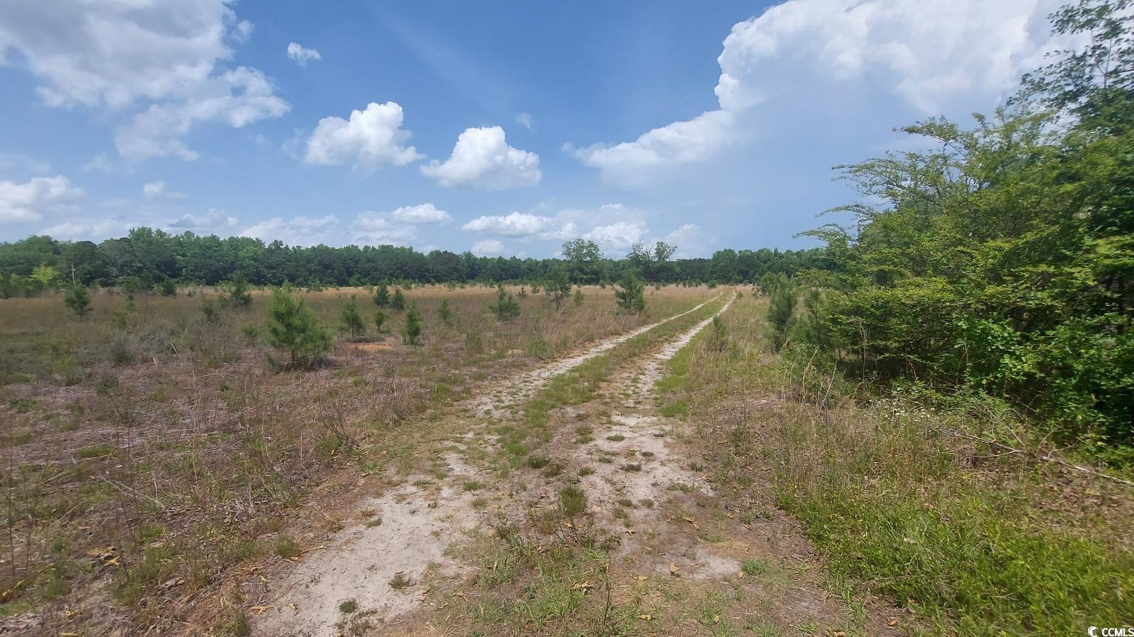 2490 Macedonia Dr. Loris, SC 29569