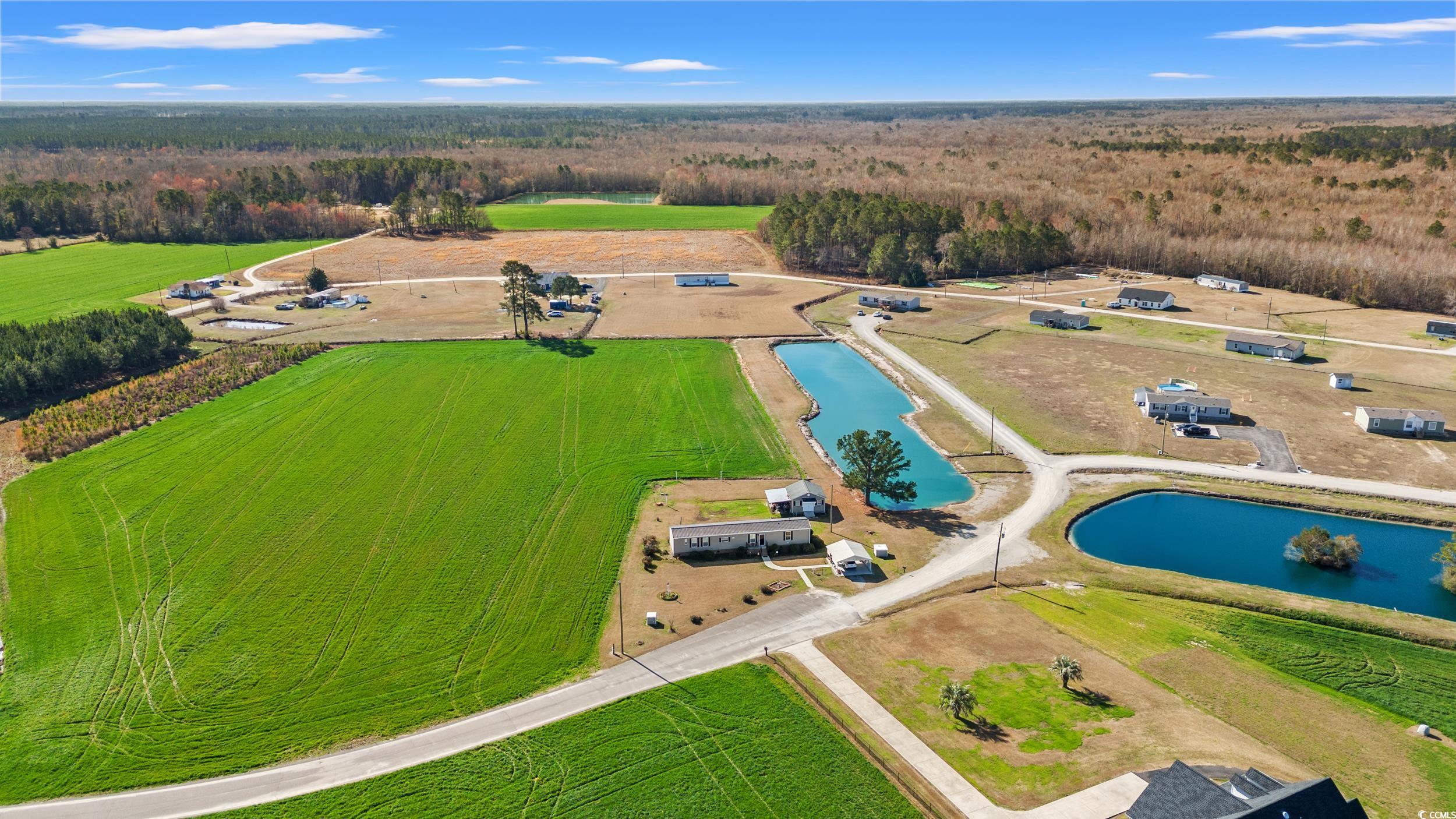 3293 Pioneer Rd., Conway, South Carolina image 2