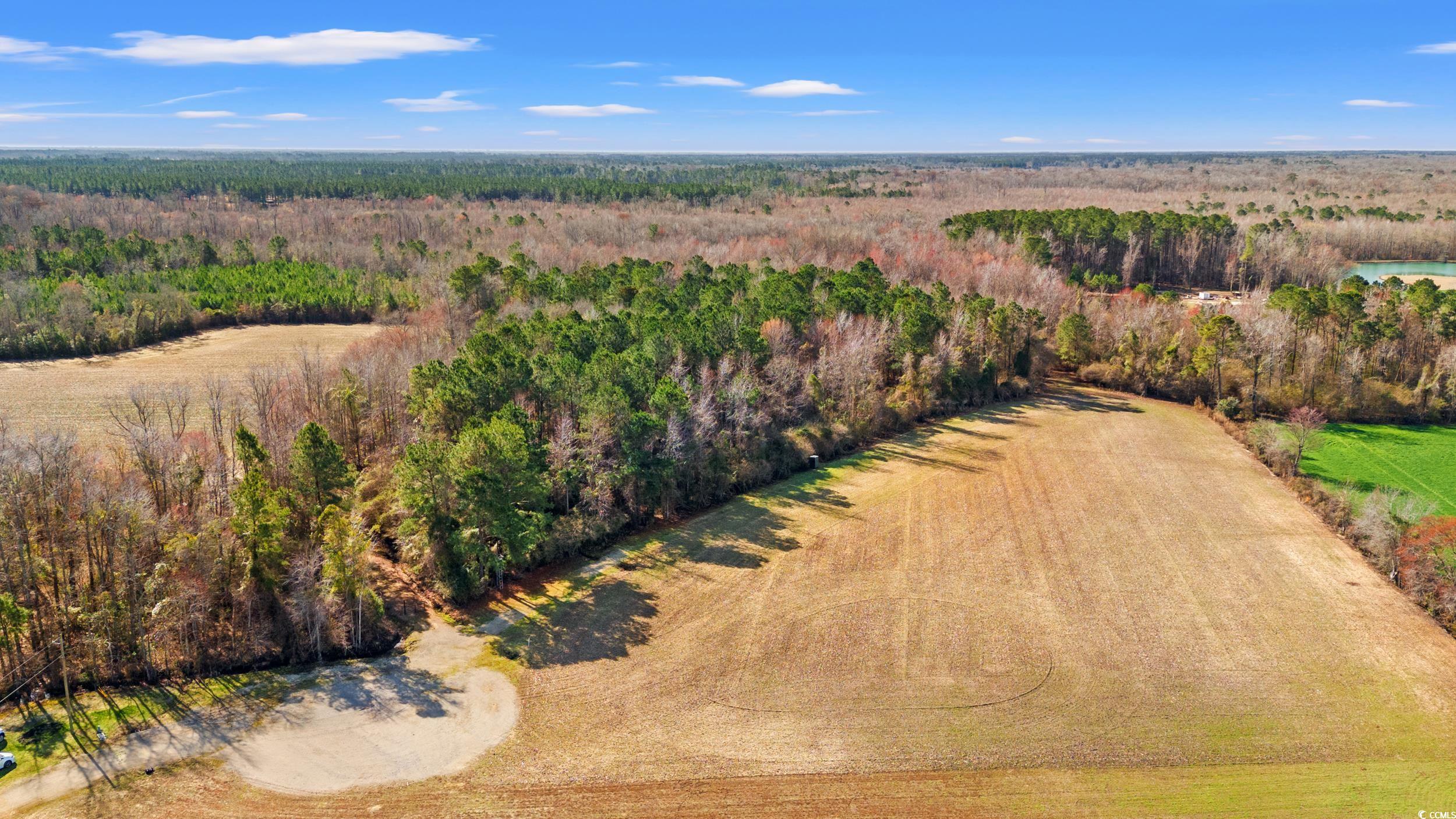 150 Joey Lane, Conway, South Carolina image 2