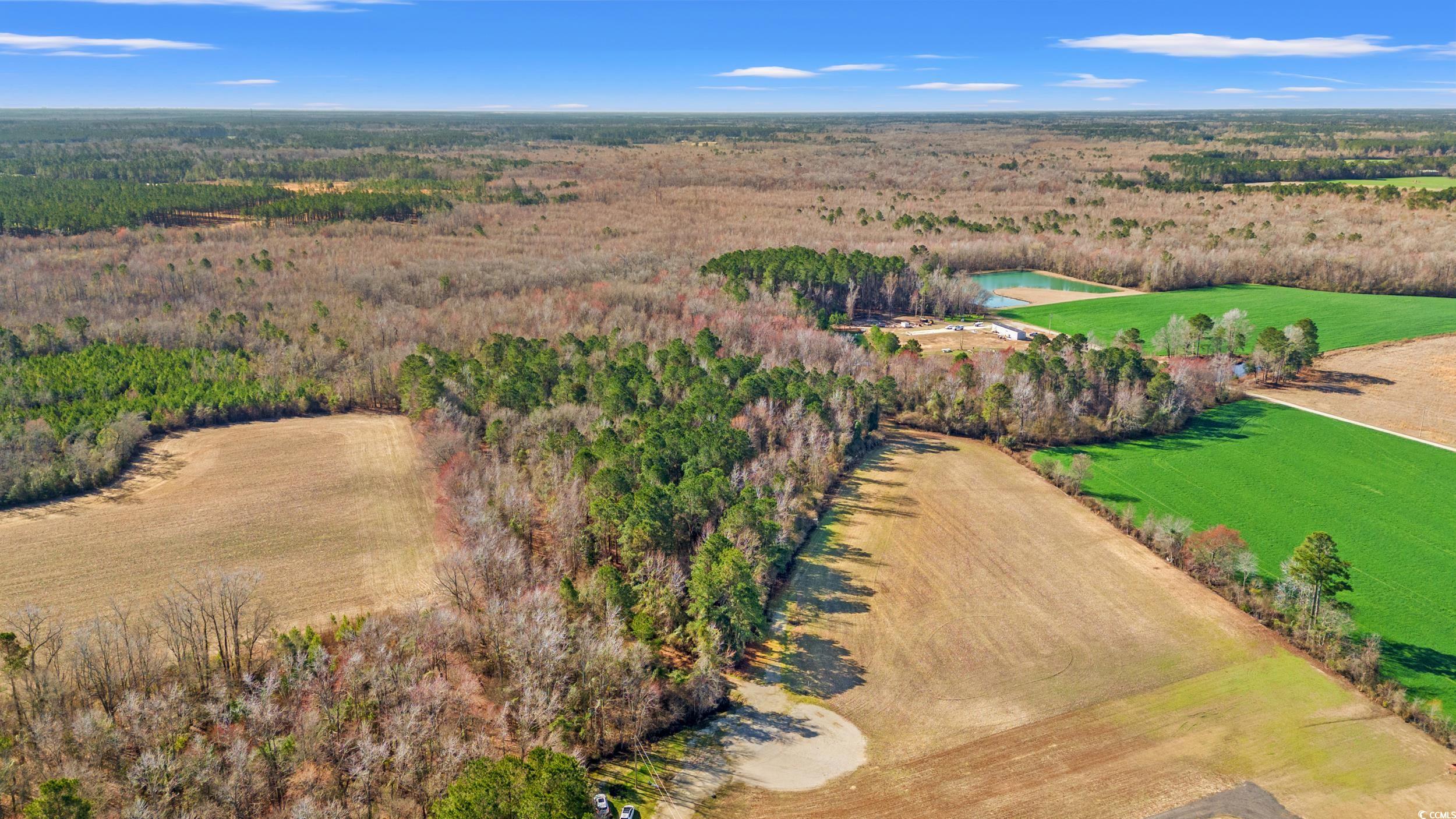 150 Joey Lane, Conway, South Carolina image 3
