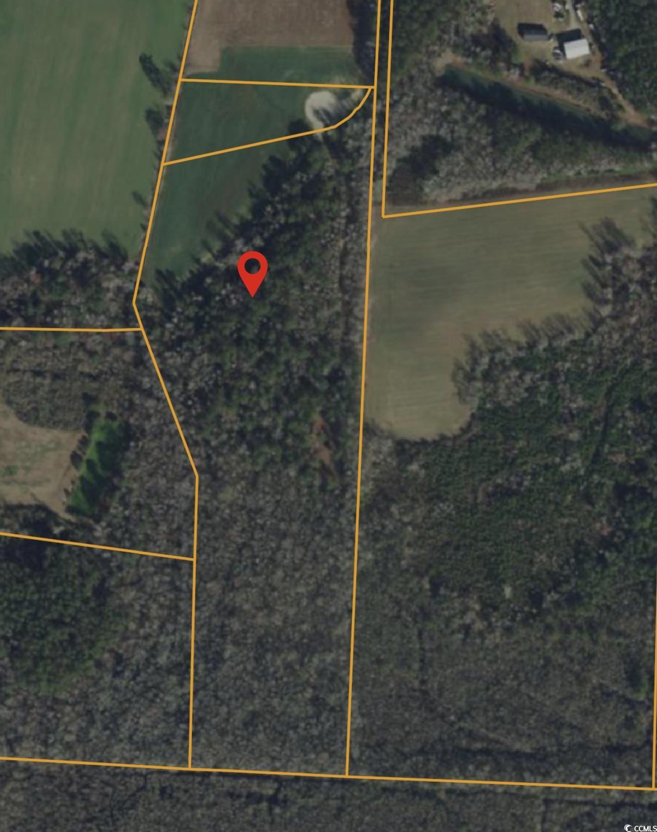 160 Joey Lane, Conway, South Carolina image 1