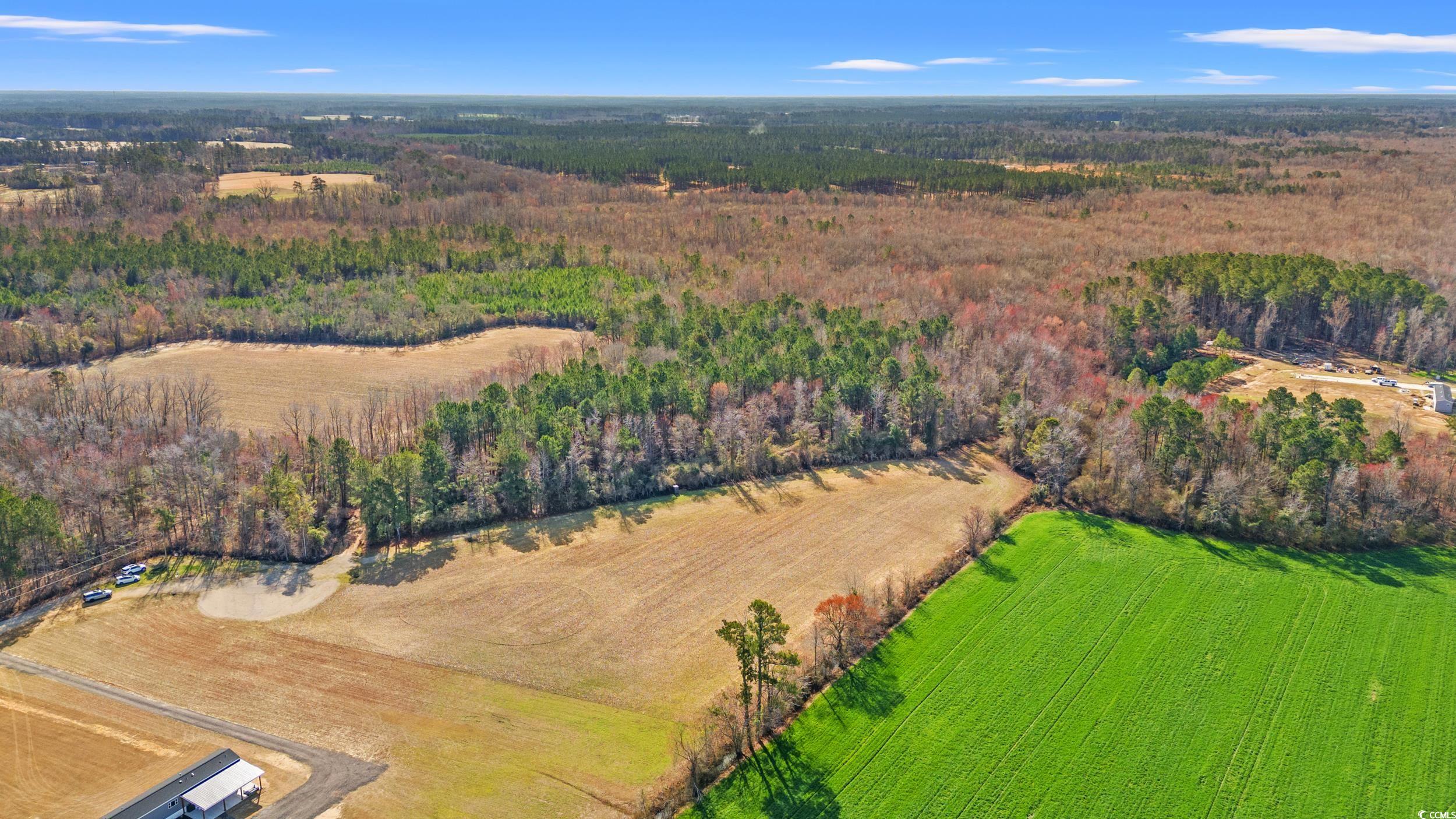 160 Joey Lane, Conway, South Carolina image 5