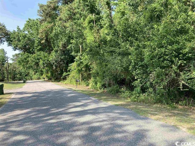 White Oak Dr., Johnsonville, South Carolina image 1