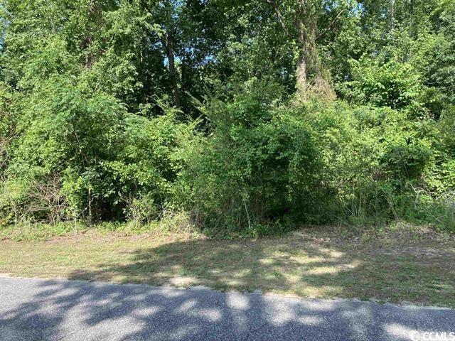 White Oak Dr., Johnsonville, South Carolina image 3