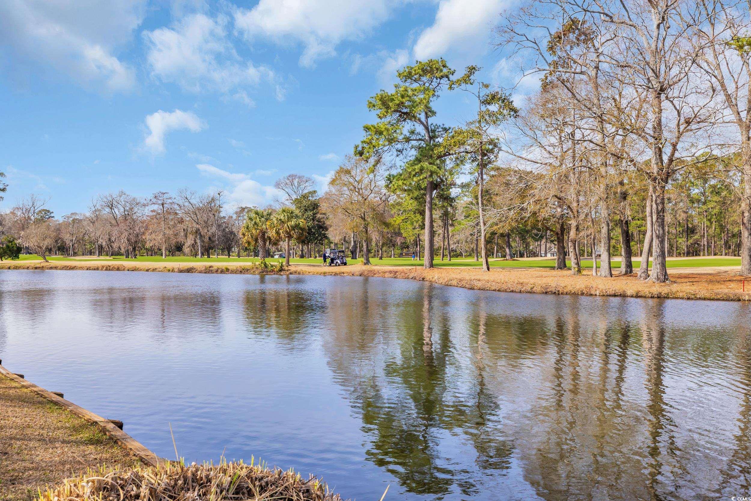 1616 Hawthorn Dr., Pawleys Island, South Carolina image 35