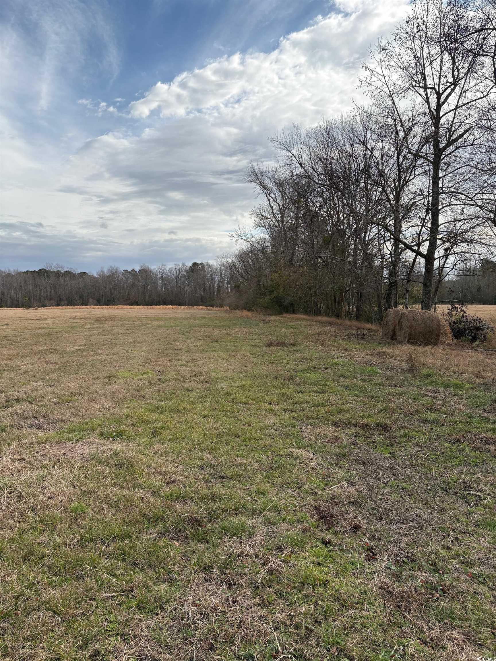 TBA 455 Dothan Rd. Tabor City, SC 28463