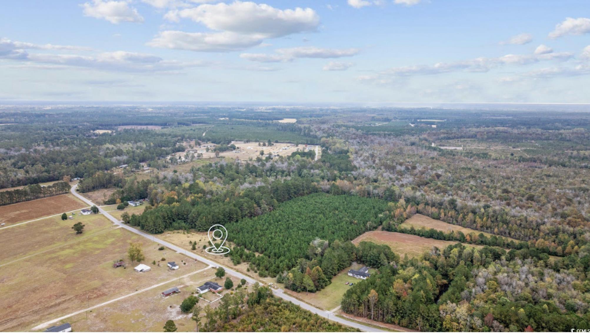Lot 4 Creek Landing Rd, Nichols, South Carolina image 1