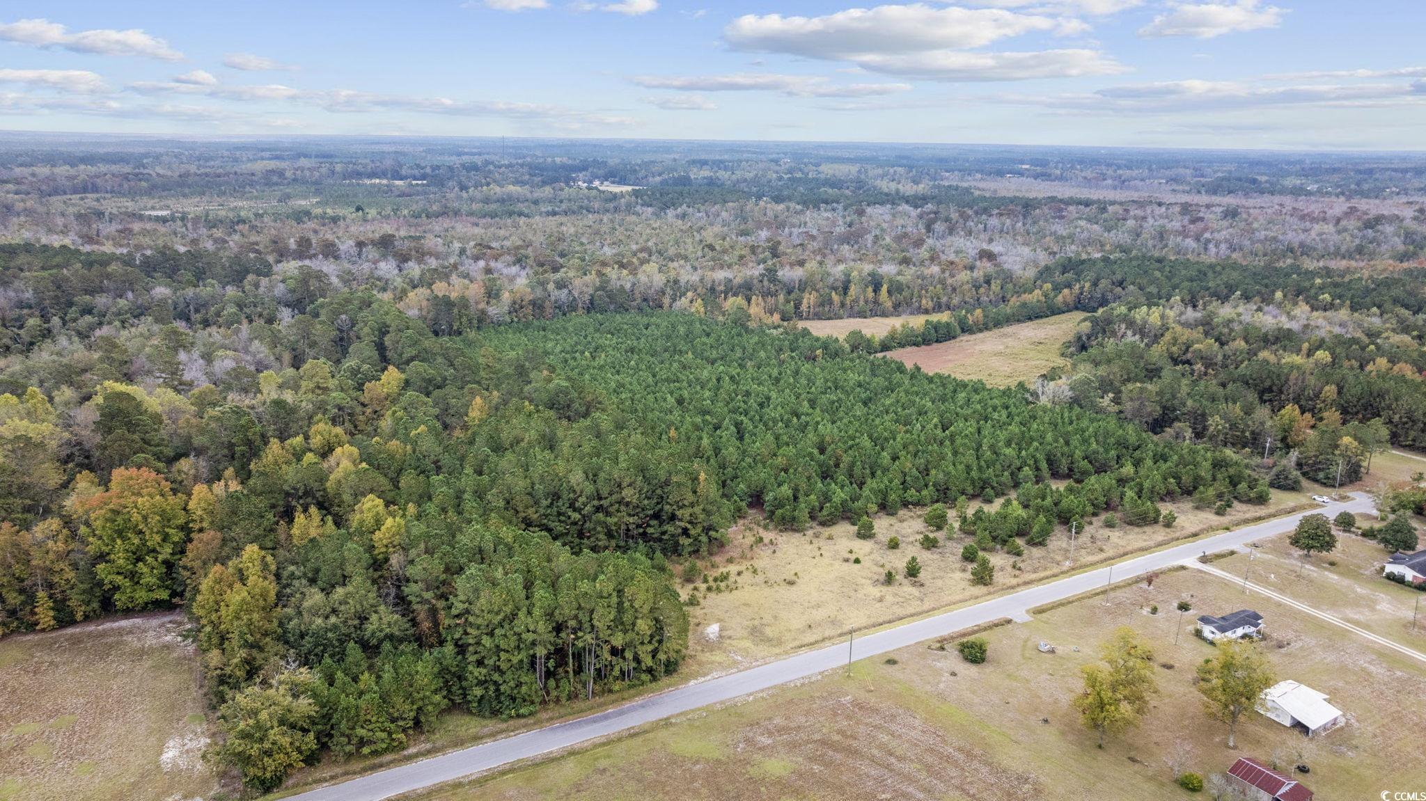 Lot 4 Creek Landing Rd, Nichols, South Carolina image 12