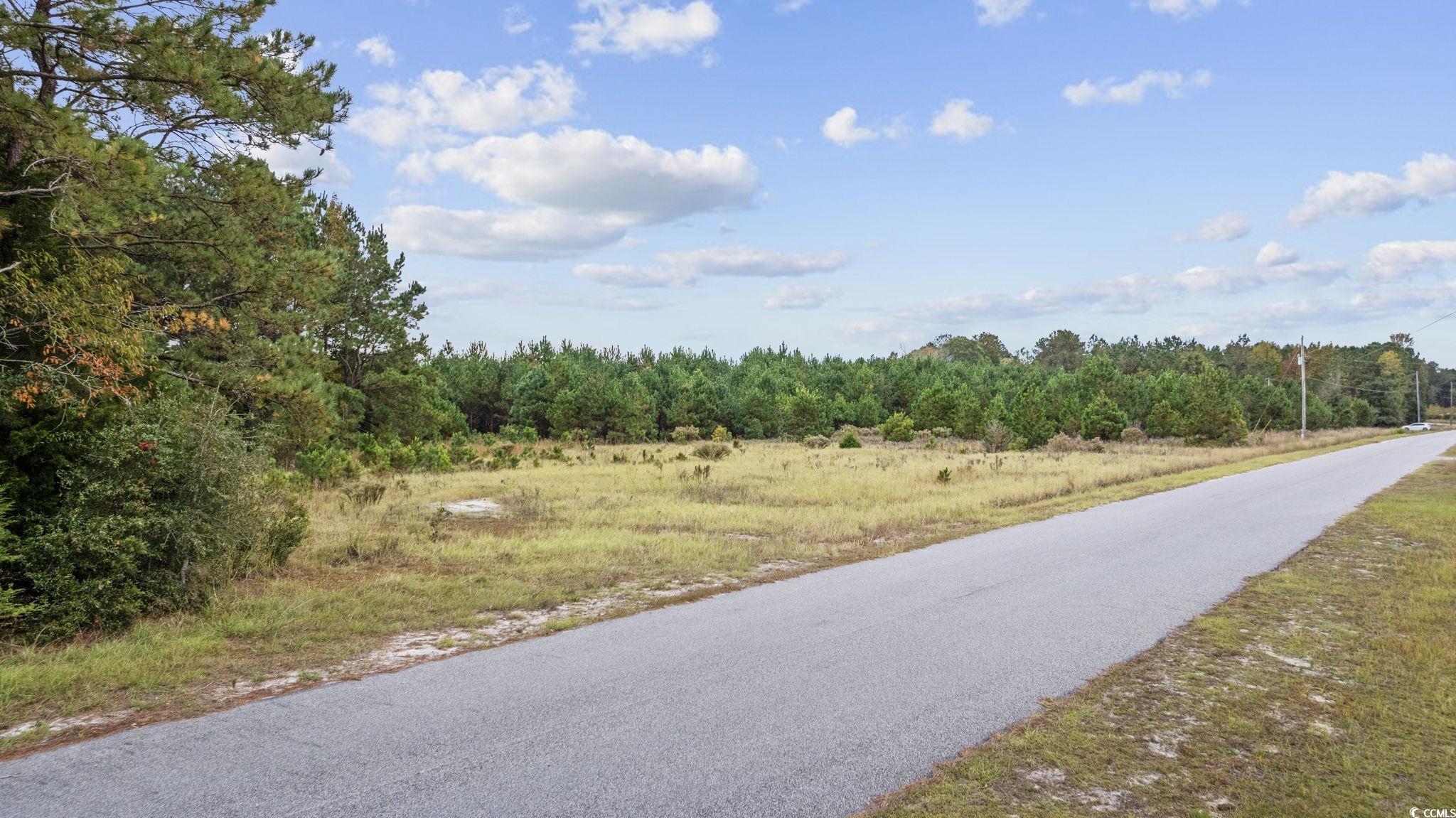 Lot 4 Creek Landing Rd, Nichols, South Carolina image 15