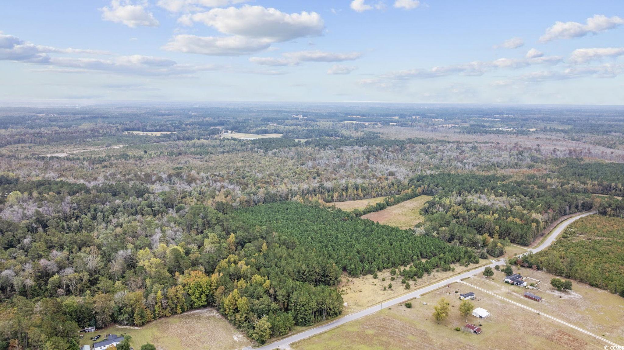 Lot 4 Creek Landing Rd, Nichols, South Carolina image 4