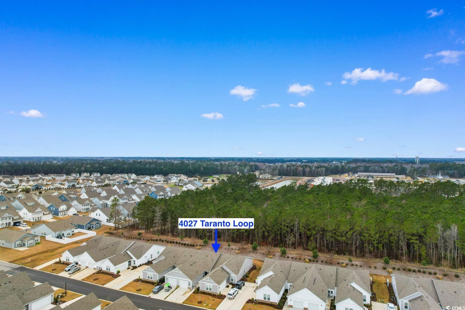 4027 Taranto Loop #3203-C, Myrtle Beach, South Carolina image 35