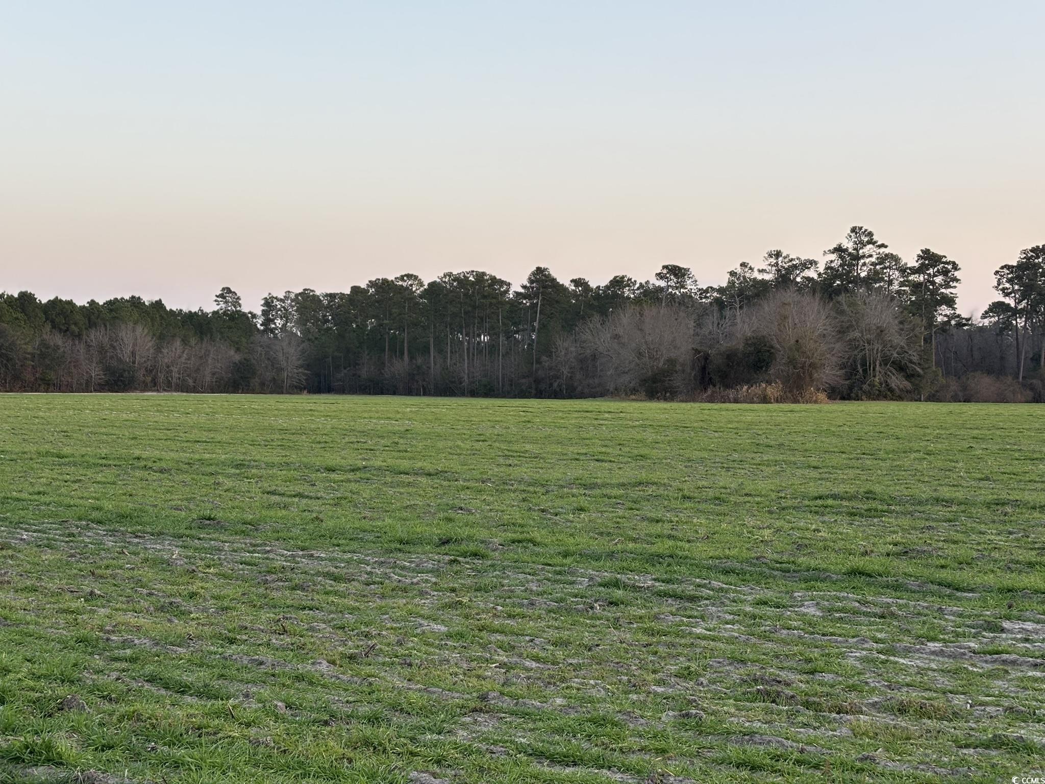 300 Clio Rd., Loris, South Carolina image 3