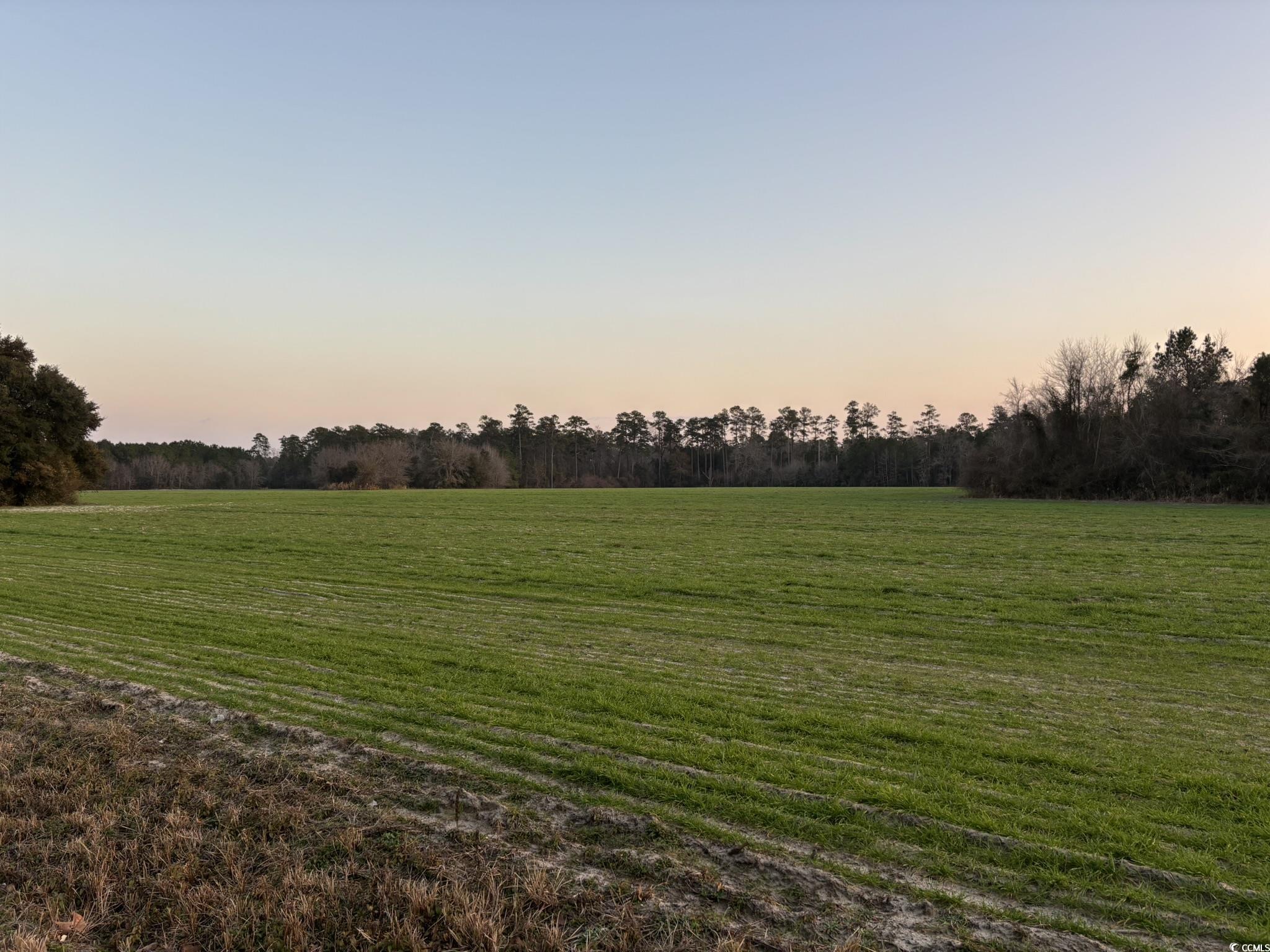 300 Clio Rd., Loris, South Carolina image 4
