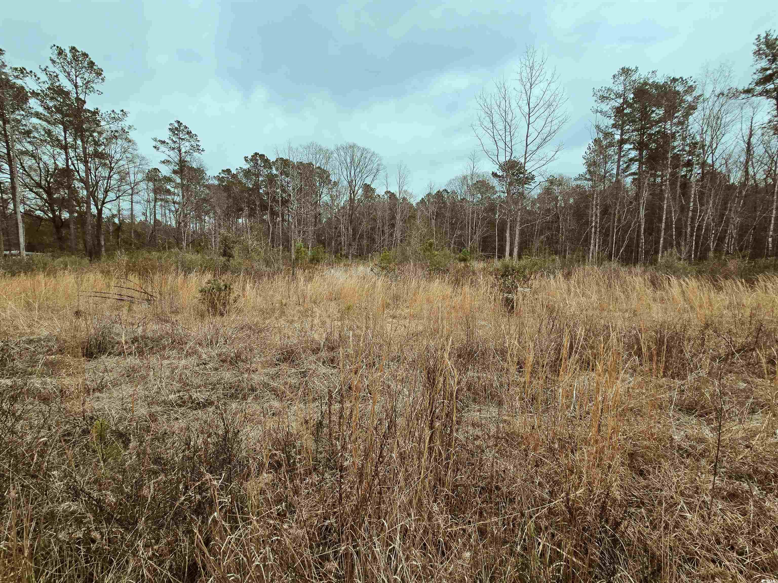 TBD 4 Highway 66 Loris, SC 29569