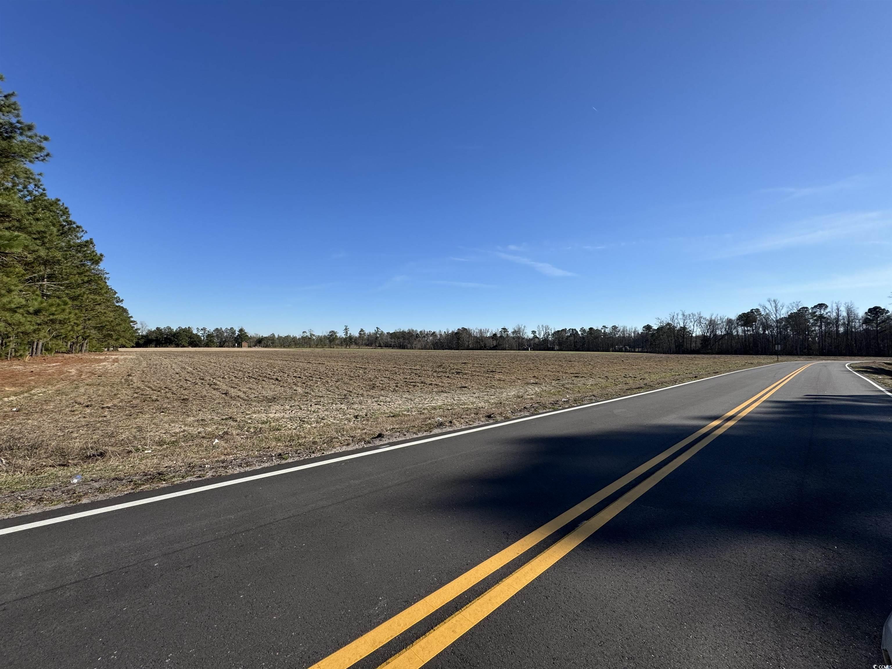 TBD Ino Dr., Loris, South Carolina image 1