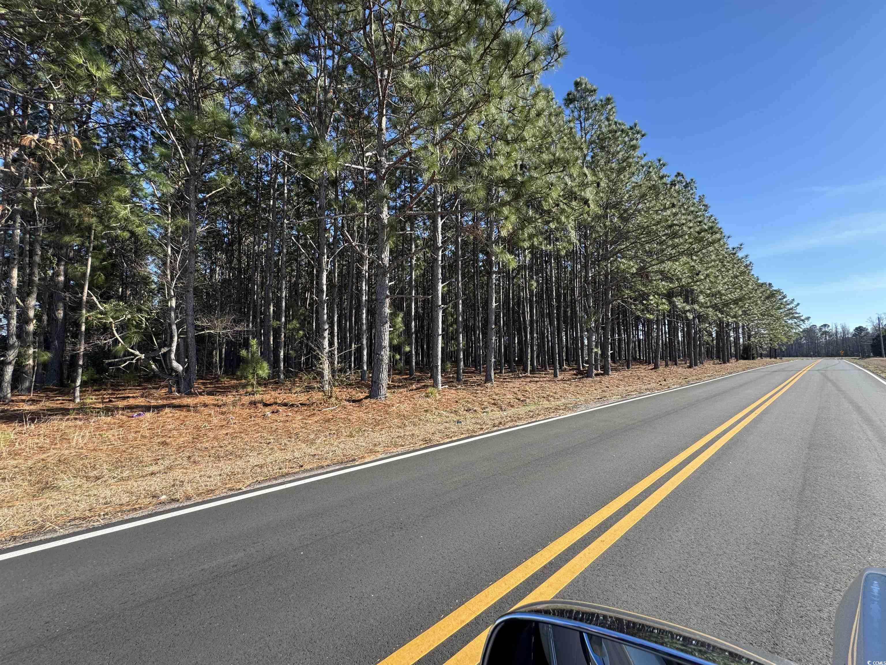TBD Ino Dr., Loris, South Carolina image 3