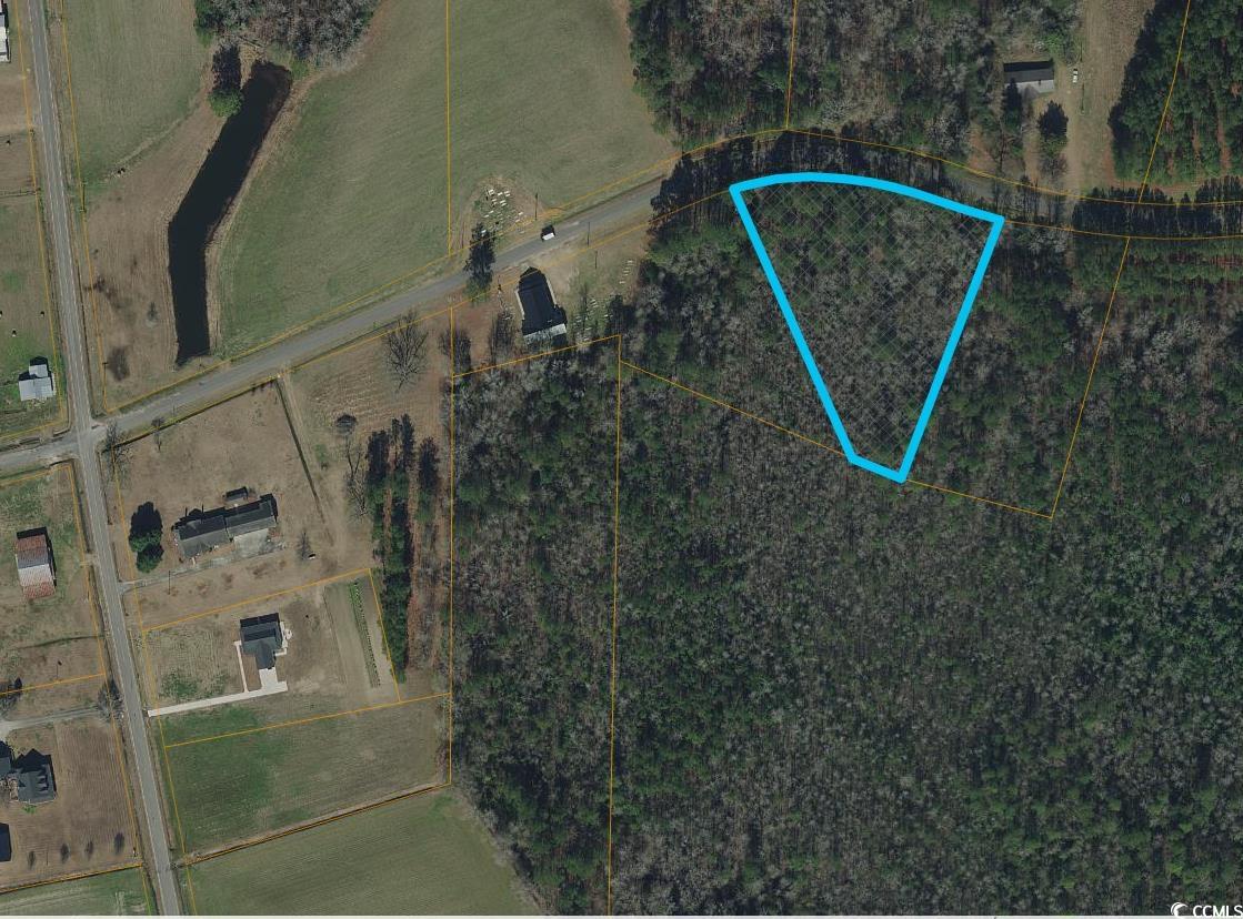 TBD Long Branch Swamp Rd., Nichols, South Carolina image 1