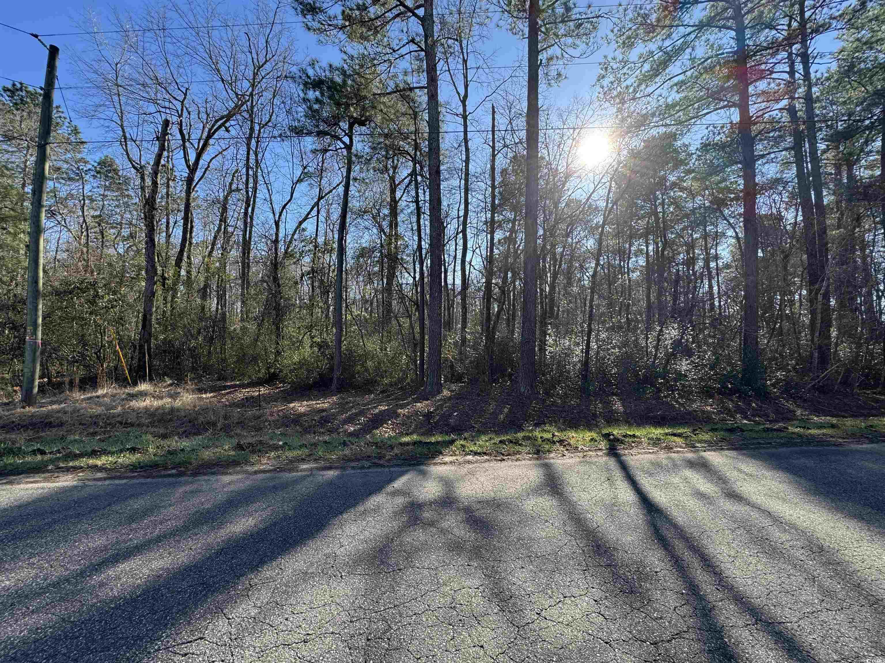 TBD Long Branch Swamp Rd., Nichols, South Carolina image 2