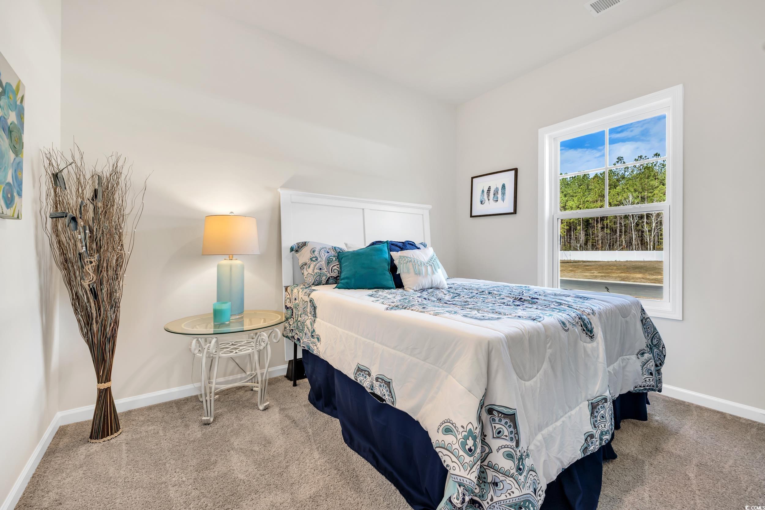 969 Oak Hollow St., Longs, South Carolina image 35