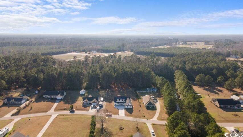 139 Cat Tail Bay Dr., Conway, South Carolina image 37