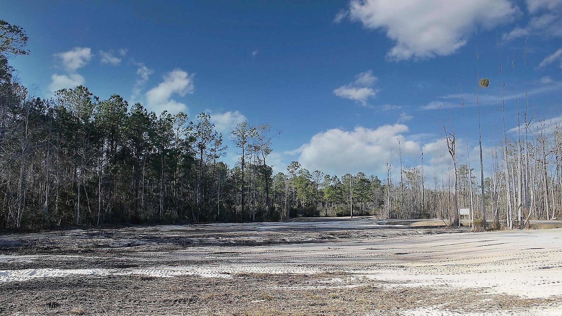 TBD Hugo Rd., Conway, South Carolina image 9