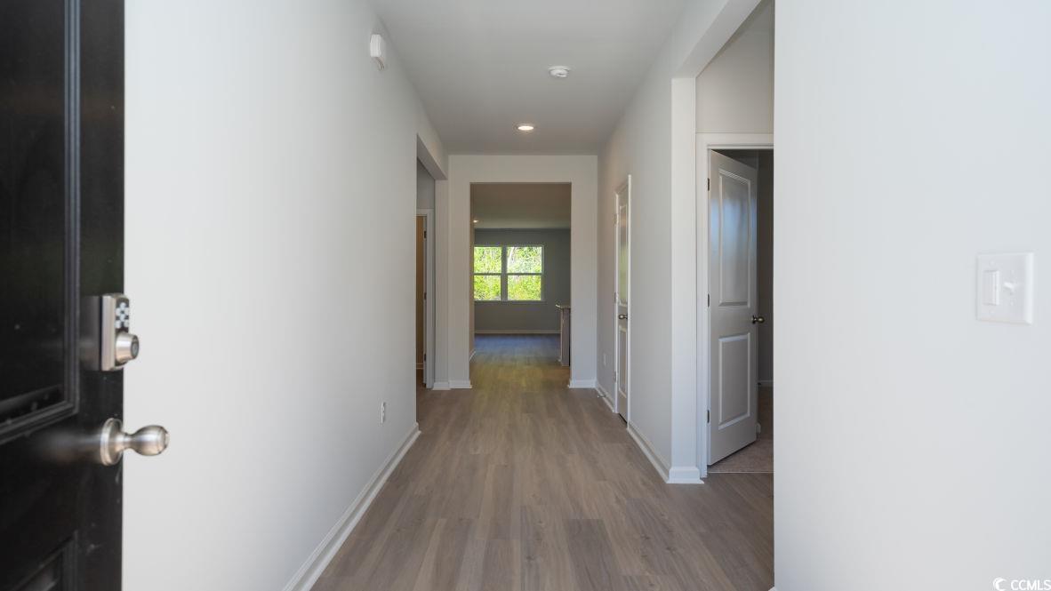 1016 Garden Sprout Dr, Galivants Ferry, South Carolina image 2