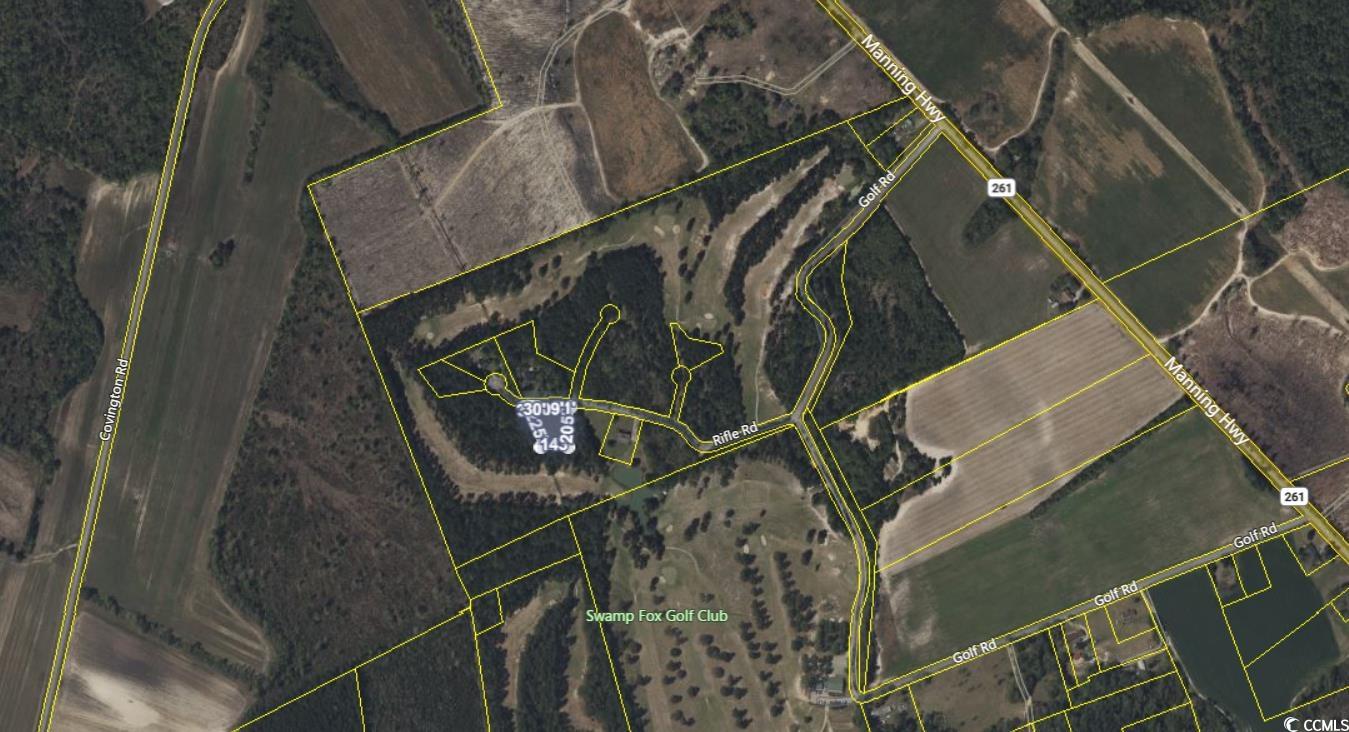 TBD Rifle Rd., Greeleyville, South Carolina image 1