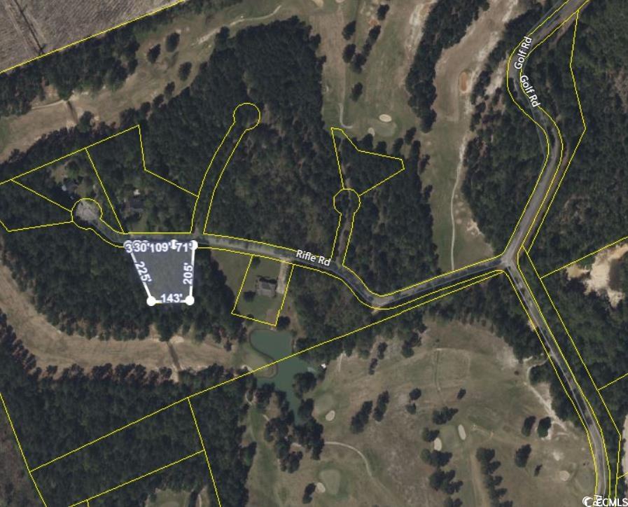 TBD Rifle Rd., Greeleyville, South Carolina image 2