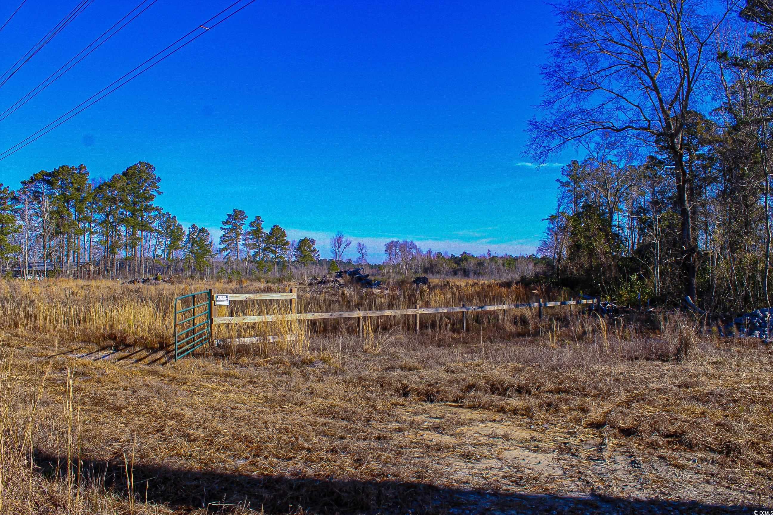 TBD Penderboro Rd. Marion, SC 29571