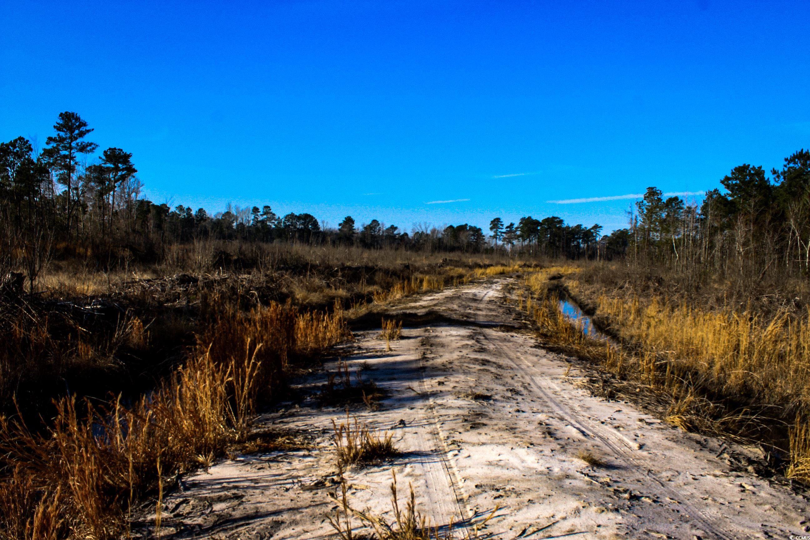 TBD Penderboro Rd., Marion, South Carolina image 10