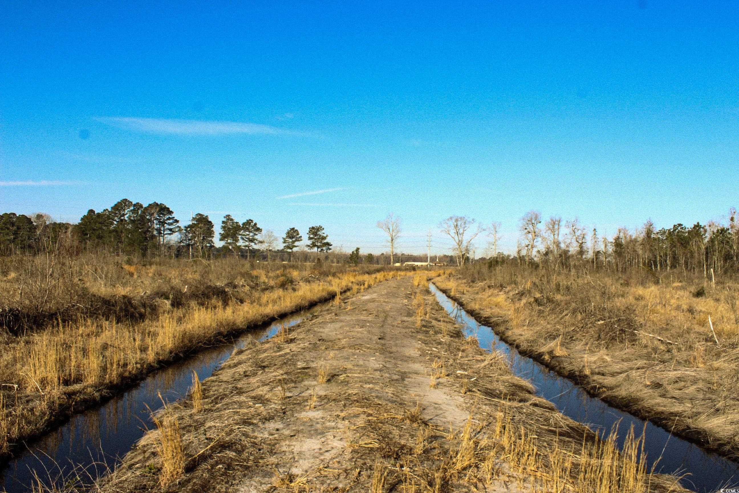 TBD Penderboro Rd., Marion, South Carolina image 8