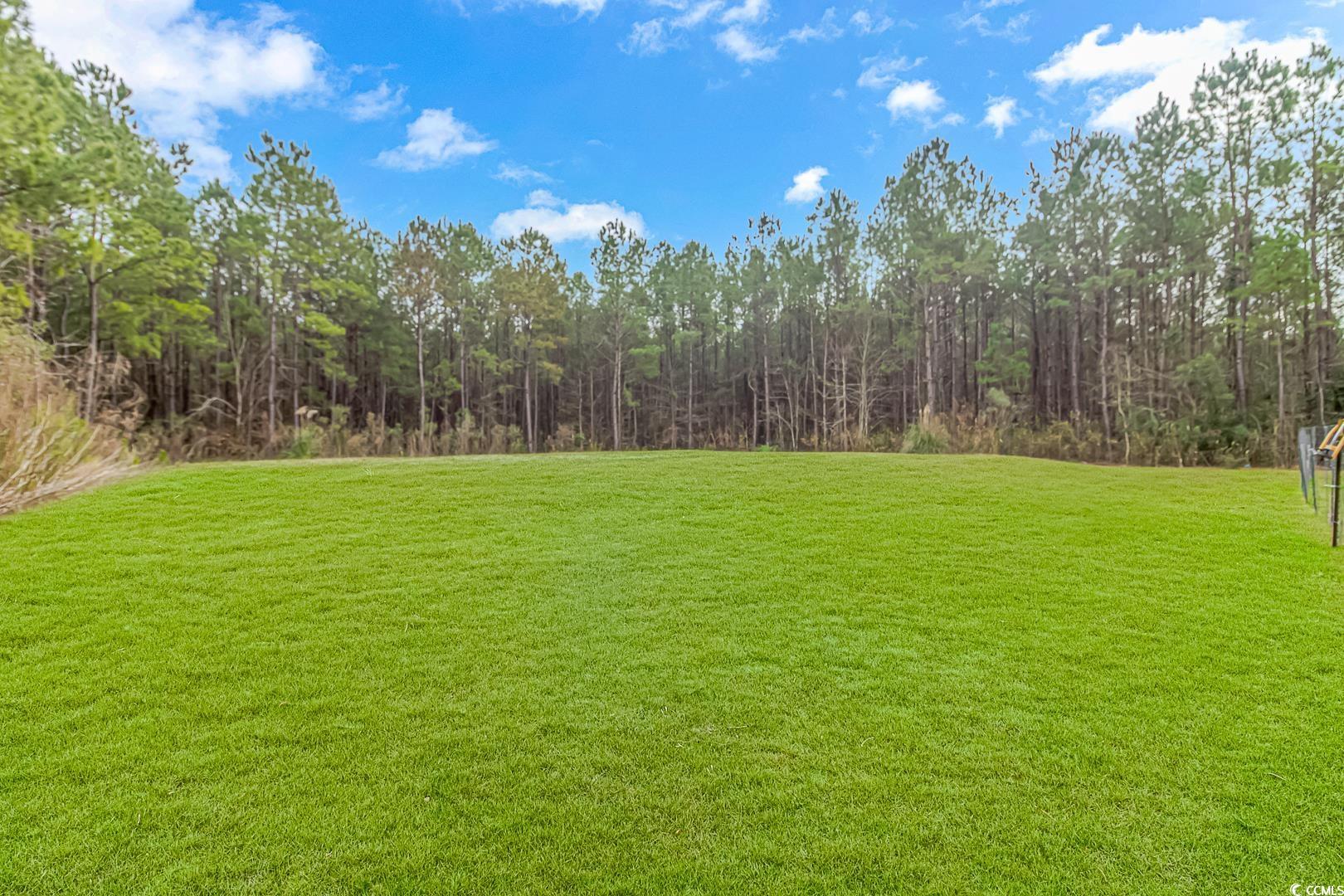 1930 W Homewood Rd., Conway, South Carolina image 34