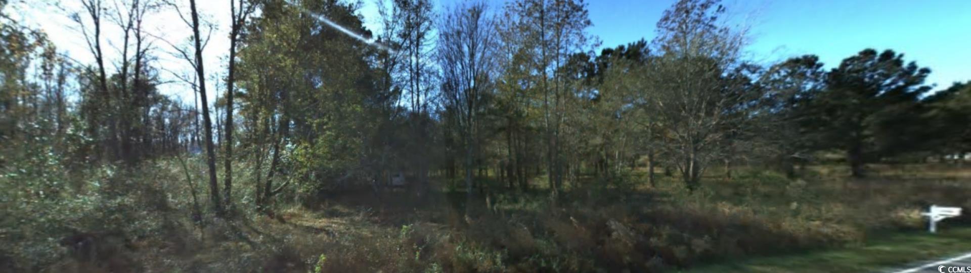 2940 Red Bluff Rd., Loris, South Carolina image 10